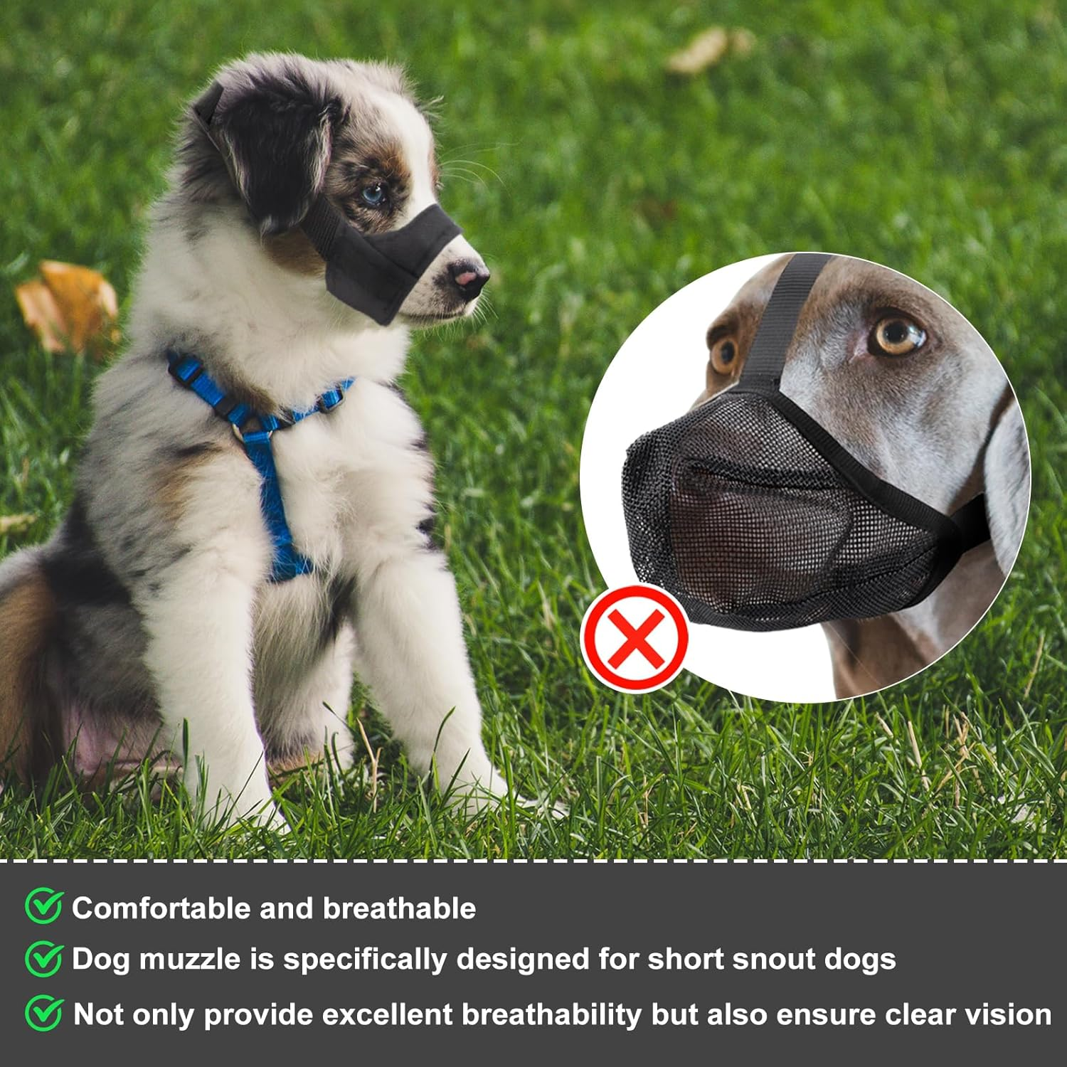 PEUTIER Short Snout Dog Muzzle, Dog Muzzle for Small and Medium Dogs Breeds, Soft Pet Safe Dog Muzzle anti Biting Barking, Muzzle for Snout Circumference 5.5-7 image number 1