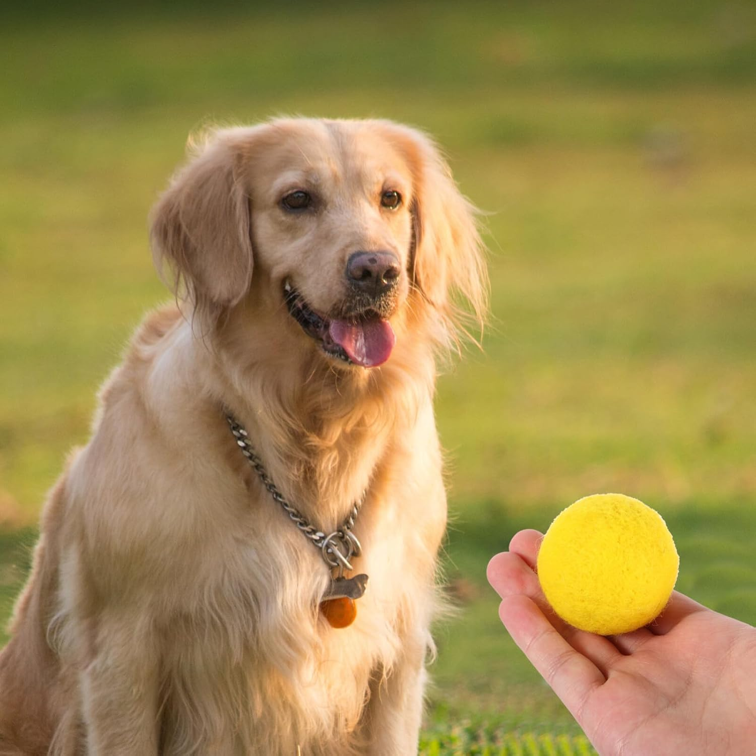 Operitacx Pack of 4 Wool Felt Ball Dog Toys - Interactive Chew Ball for Dogs, Stuffed Toy Ball for Puppies, Plush Ball for Indoor and Outdoor Games, Pet Activity image number 5