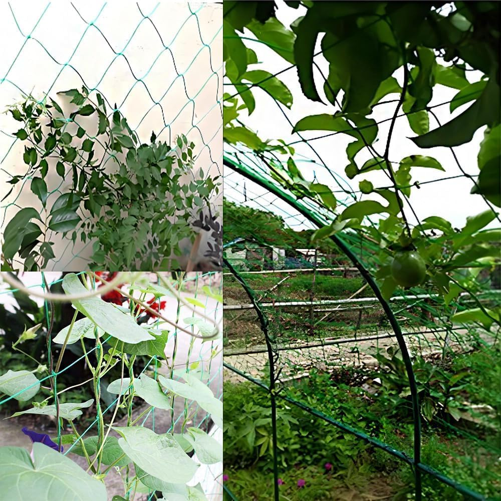 Strong Support Plant Climbing Net for Growing Vines Plants, 1Pc Polyester Mesh Garden Plant Climbing Net, Climbing Plant Support Net for Peas and Beans image number 5