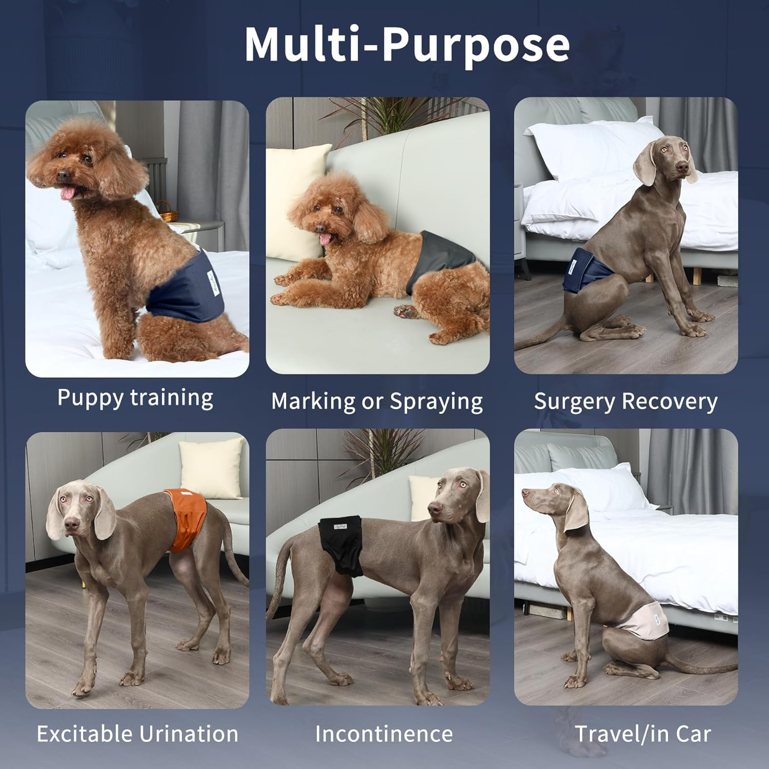 Joydaog Reusable Belly Bands for Dogs,5 Pack Premium Washable Dog Diapers Male Puppy Nappies Wrap,S image number 6