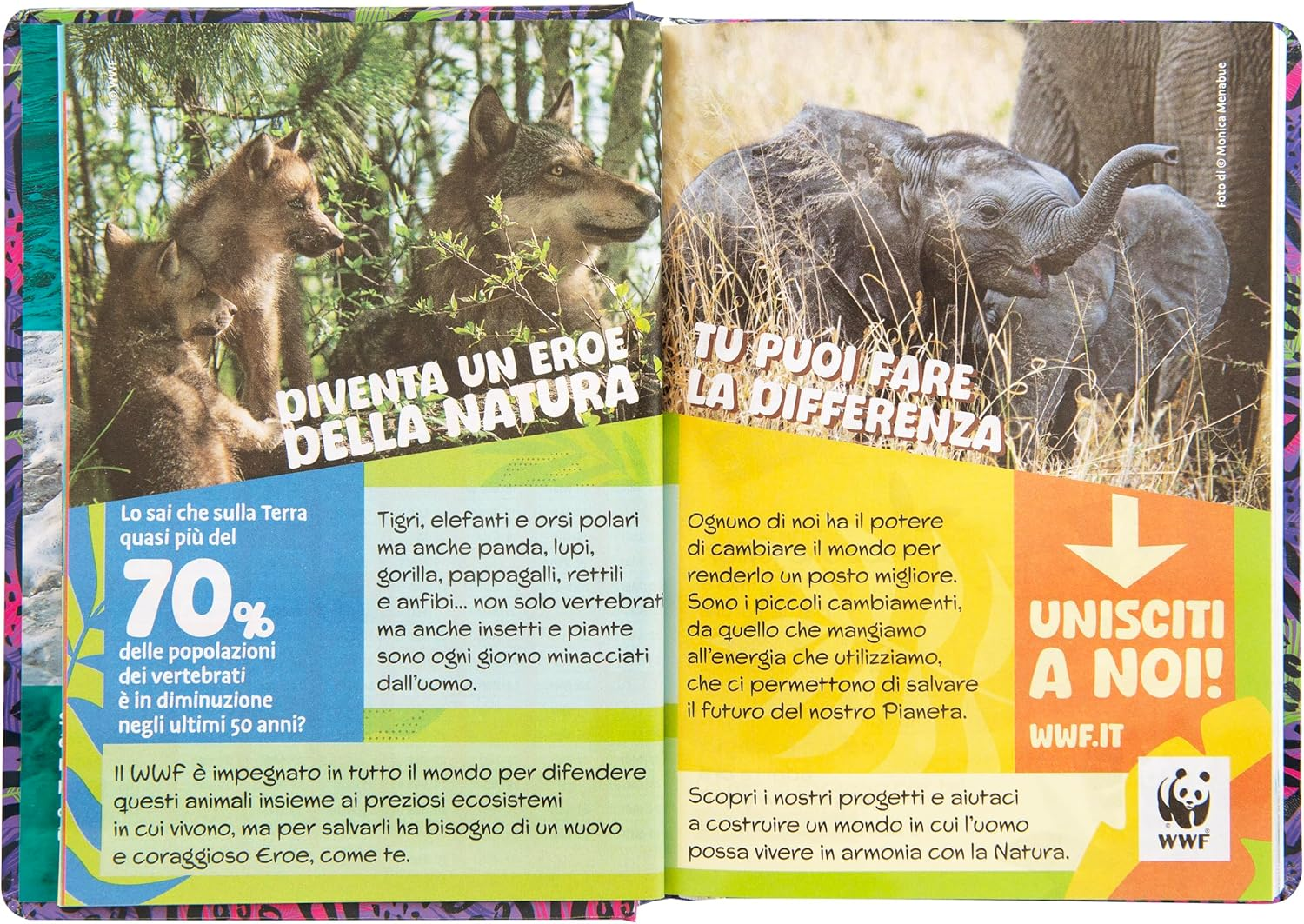 WWF Academic Diary 2025-2026 Official WWF Diary 12 Months Ideal for Elementary or Middle School with Hard Cover with Leopard Photo and 352 Coloured Pages 5.1 X 7 Inches image number 4