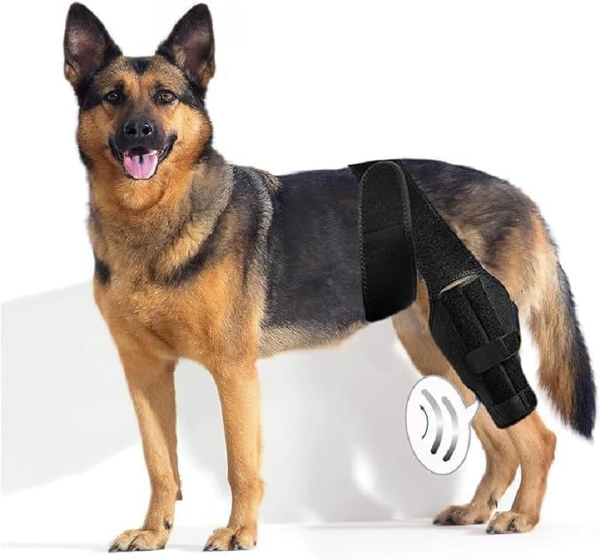 Medium Dog Knee Brace for Torn Acl Hind Leg for Support with Cruciate Ligament Injury, Better Recovery with Dog Leg Braces for Back Leg (XS, Black) image number 1