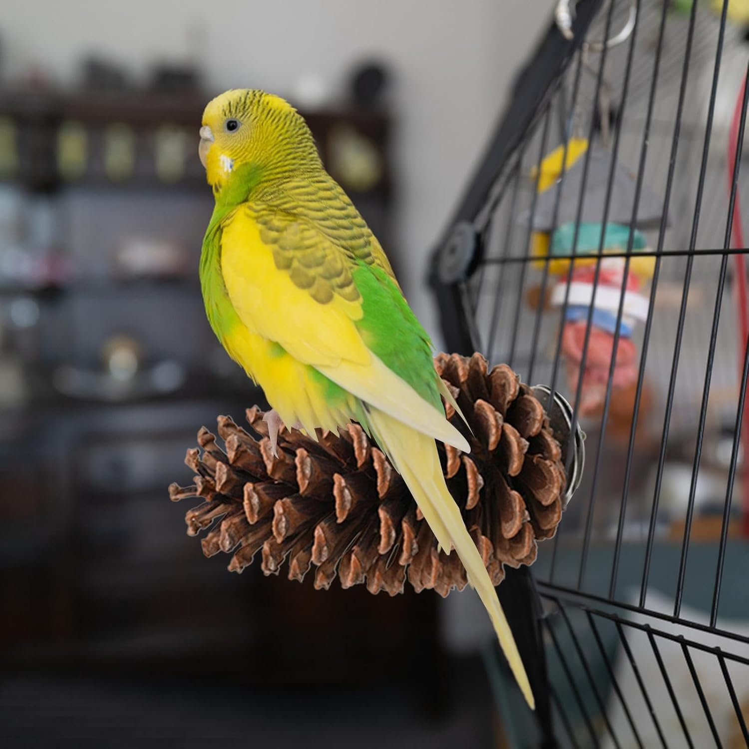 Natural Pinecone Bird,Parrot Stand - Bird Perch, Pinecone, Bird Cage Accessories, Parrot Chew Toys, Paw Grinding Stick, Bird Toys for Parakeets, Bird Perches for Finch, Parakeet Arch-Au