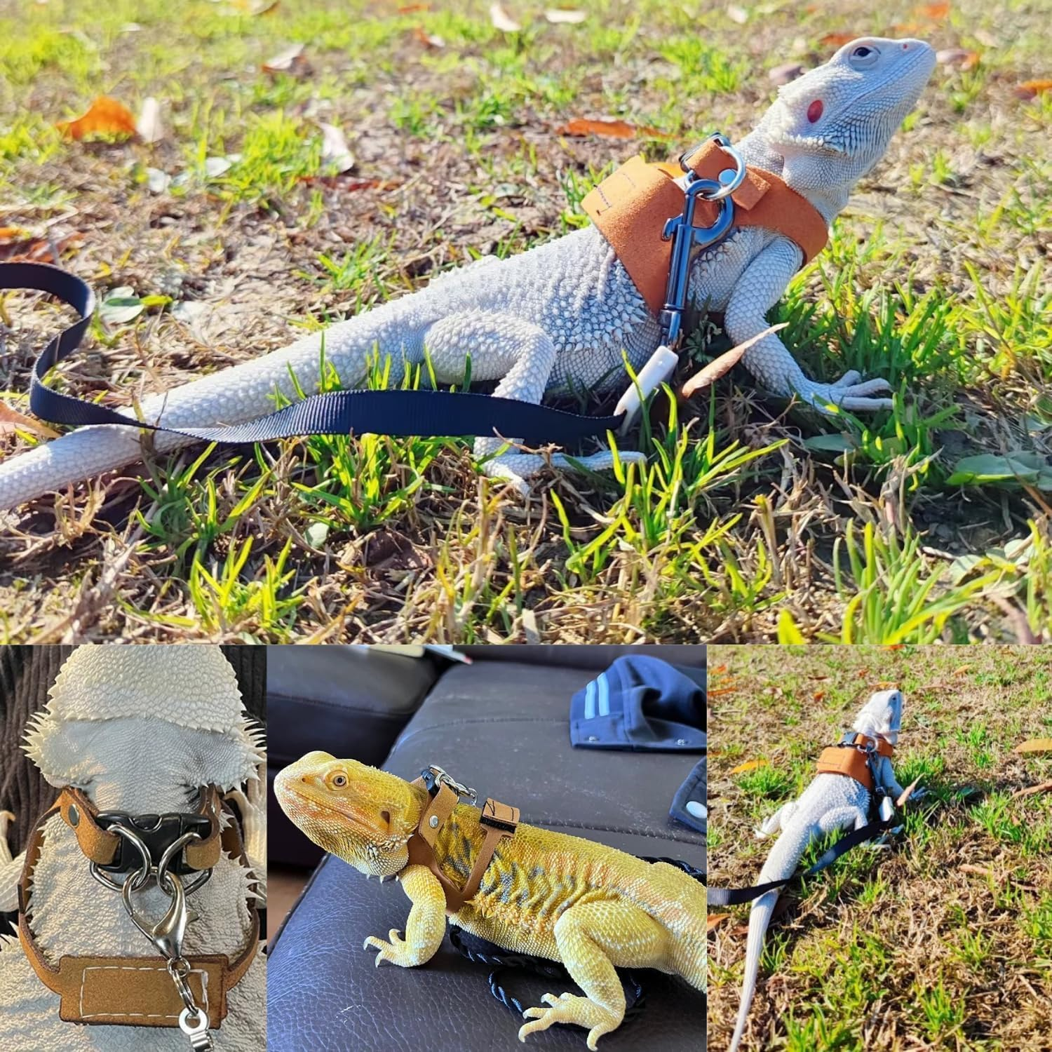 3 Size Lizard Traction Rope,Bearded Dragon Harness and Leash Set,Adjustable Harness Soft Leather Leash Lizard Reptile Traction Rope Walking Vest Accessories for Bearded Dragon,Iguana,Gecko (Brown) image number 6