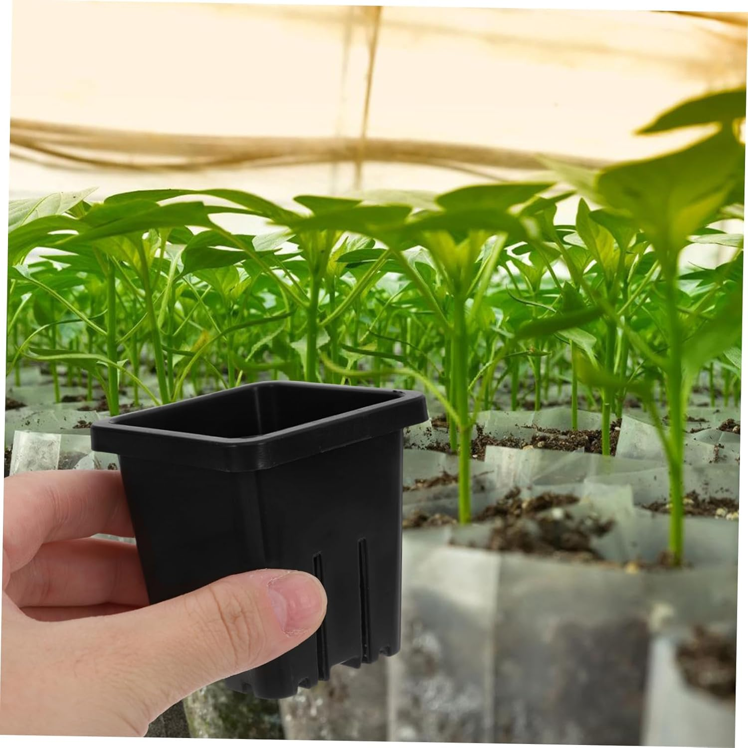 SUPVOX 10Pcs Plastic Hydroponic Net Pots Cultivation Baskets for Vegetable Indoor Gardening Reusable Mesh Planter image number 6