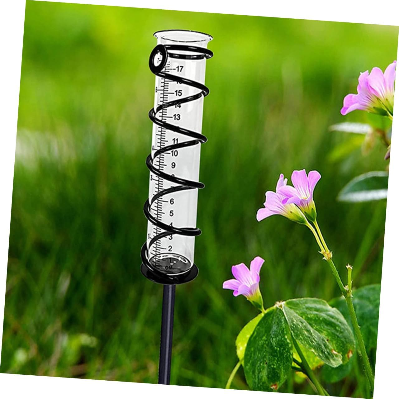 4Pcs Transparent Rain Gauge with Scale Design Rain Measuring Tubes for Garden Lawn Outdoor Water Measurement Tool image number 3