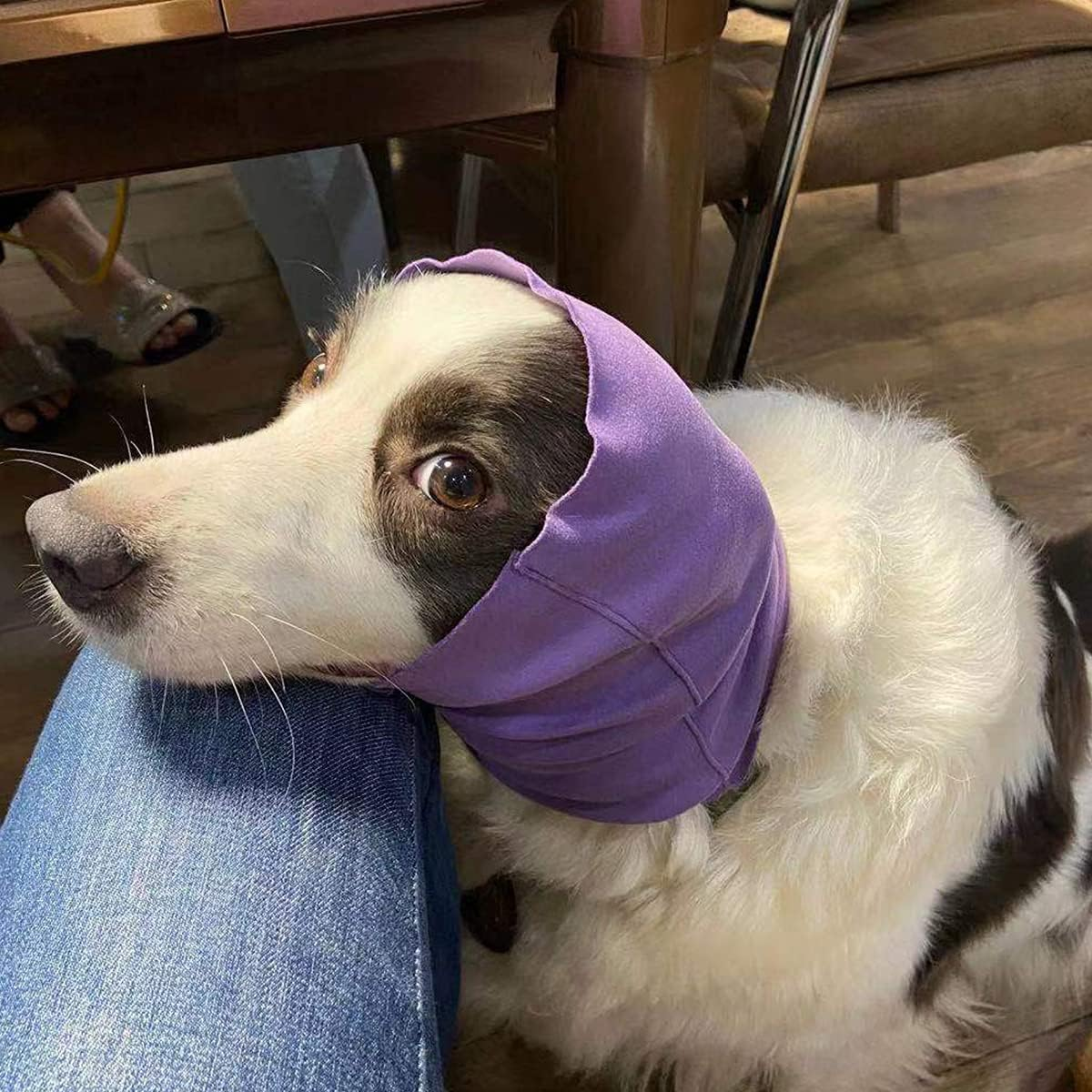 Quiet Ears for Dogs Anxiety Barking Dog Ear Covers Muffs Snood for Noise 2PCS Dog Ear Hearing Earmuffs Fireworks Protection anti Anxiety Dog Hat for Medium to Large Dogs (Large, Purple & Grey) image number 1