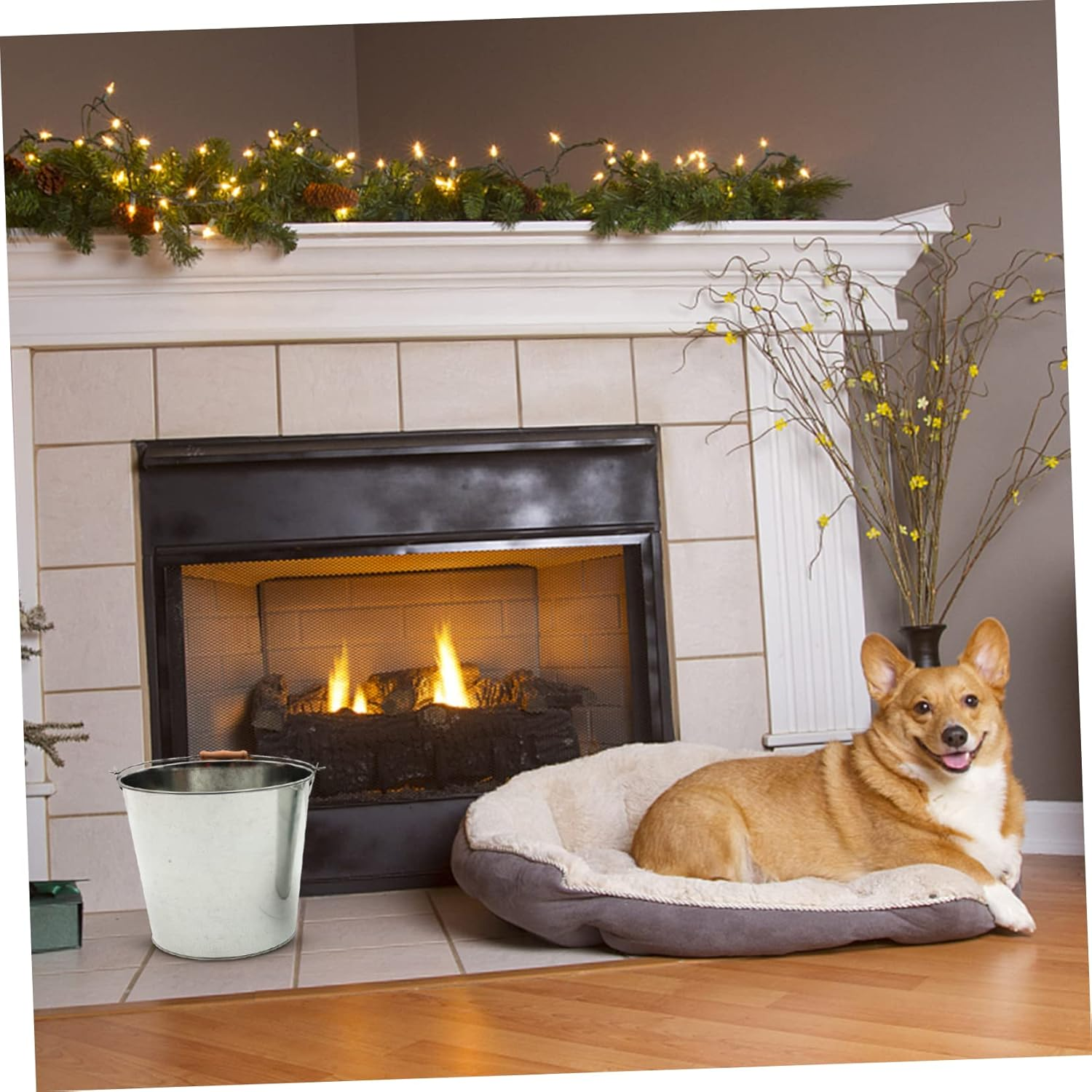 BESPORTBLE Fireplace Ash Bucket Metal Burning Bucket for Daily Use Multi-Purpose Garden Incinerator for Paper Waste Compact Design for Home Use image number 4