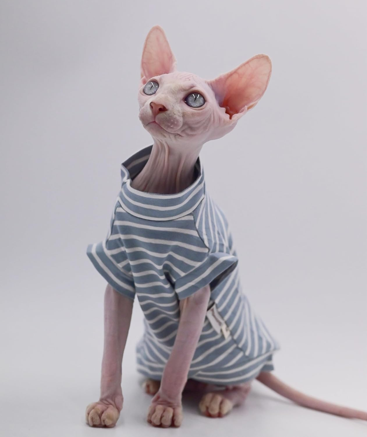Cotton Sphynx Cat Clothes Spring and Summer Thin High Elasticity Devon Rex, Konish Clothes Hairless Cat Clothes Cat Apparel for Small Cats and Dogs (Brown, Xx-Large)