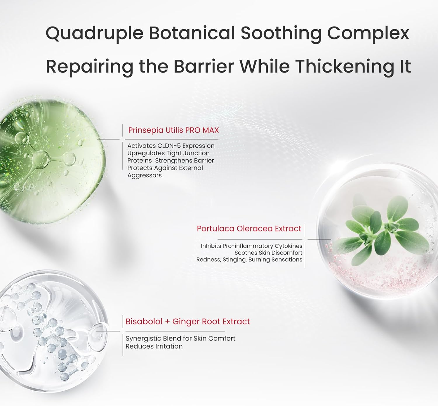 WINONA Facial Cleanser 100G,Sensitiveness Relieving Moisturizing Tolerance-Extreme Cleanser for Sensitive Skin,Soothes Redness & Dryness,Face Wash Foaming with Glycerin & Hyaluronic Acid,Dual Moisture image number 2