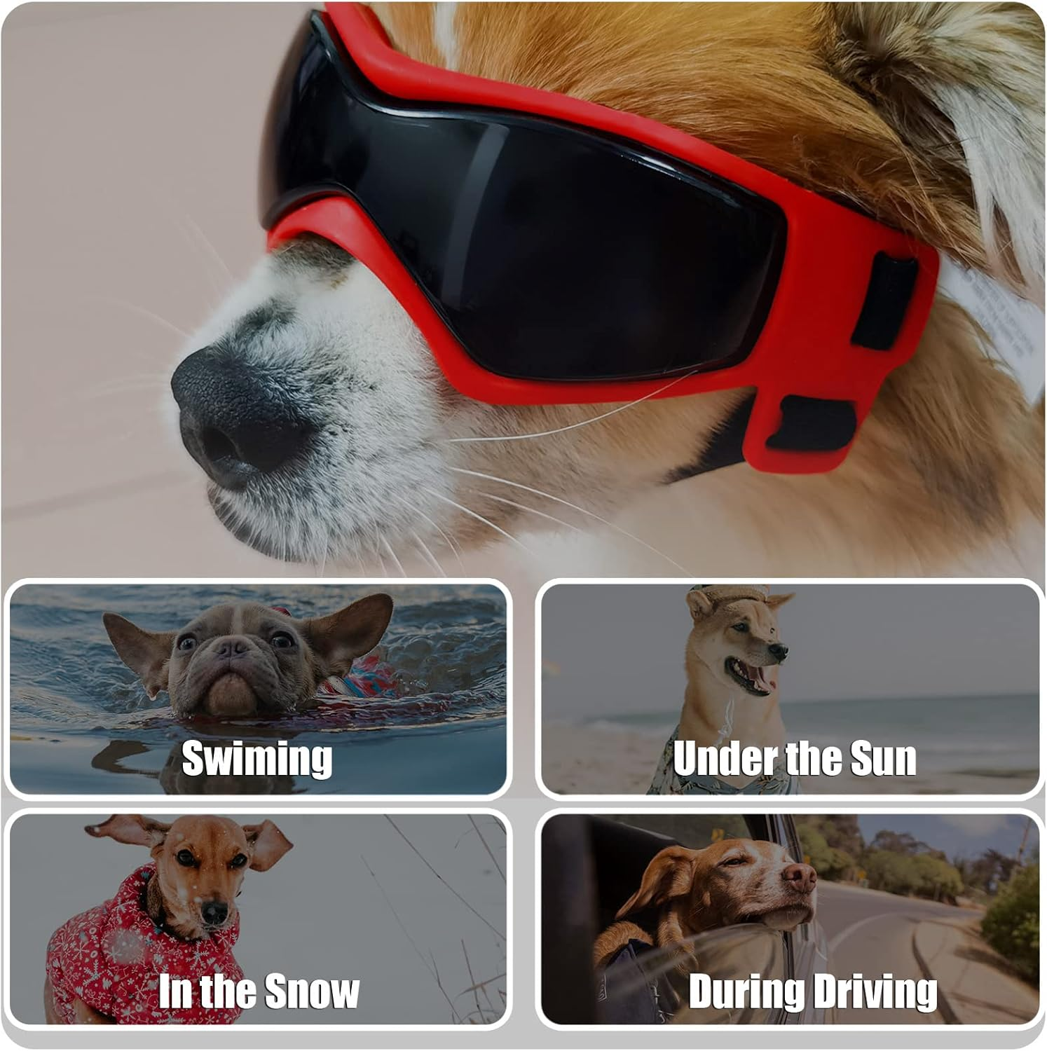 Dog Goggles Protective Sunglasses Adjustable Pet Glasses for Small Medium Dogs image number 6