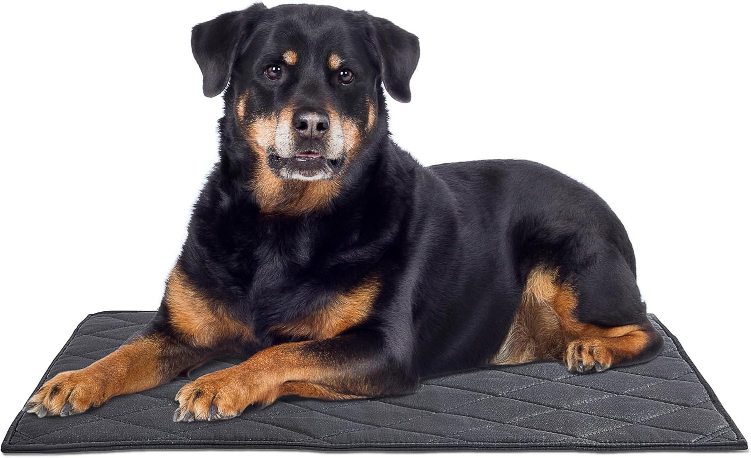 MABOZOO Durable Chew Proof Dog Bed, Tough Indestructible Crate Mat for Aggressive Chewers, Washable Waterproof Pet Bed for Medium Dogs, Black 22X35 In image number 2