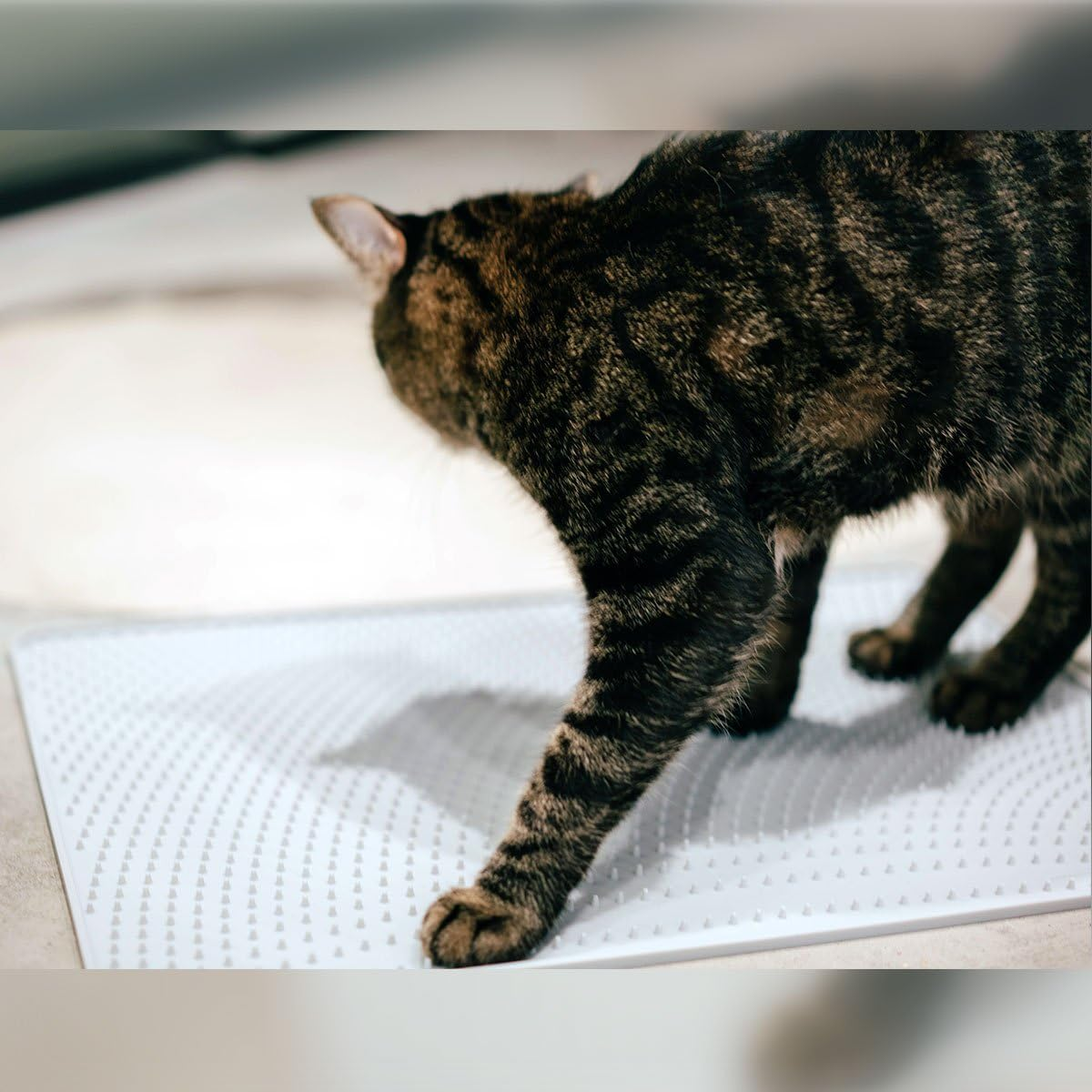 Pidan Cat Litter Mat, image number 5