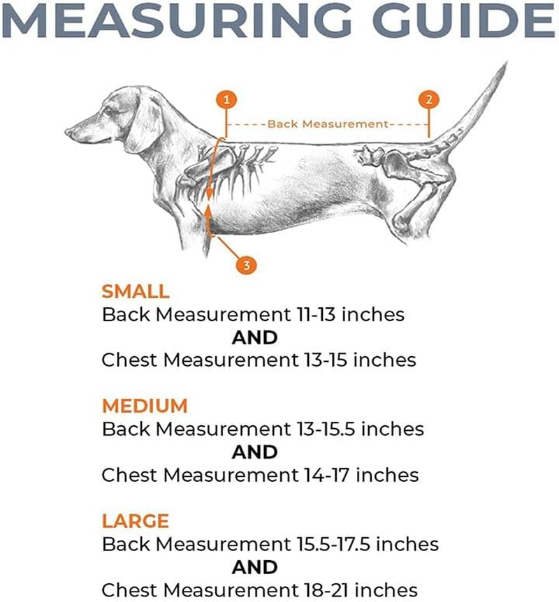 Dog Back Brace for Dog Back Pain, Arthritis, Good for Dachshunds, Corgies, Frenchies (S) image number 3