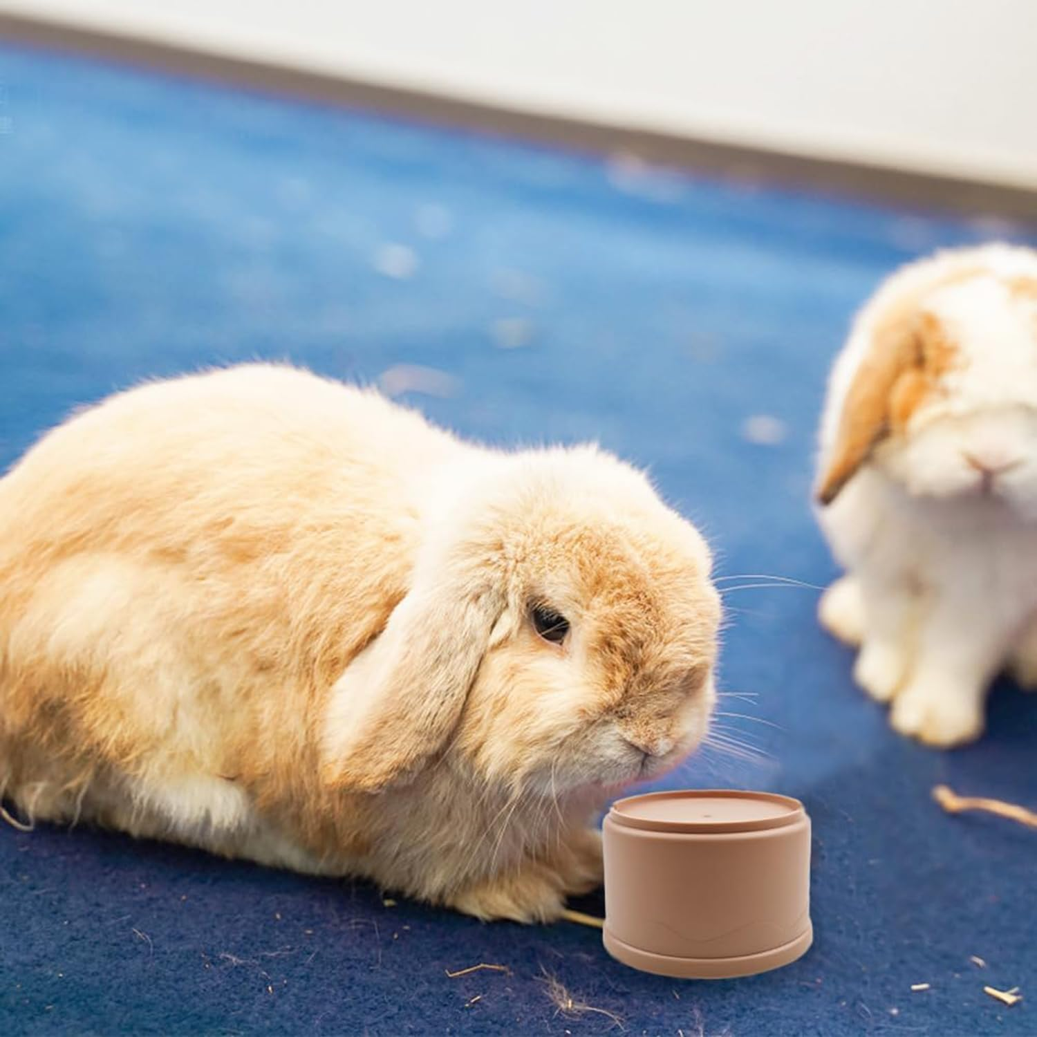 Hysgscwd 8Pcs Stacking Cups for Rabbits, Reusable Multicolored Different Sizes Bunny Gradient Nesting Toy, Stackable Rabbit Foraging Toy for Small Animals Bunnies Guinea Pig Hiding Food and Playing image number 6