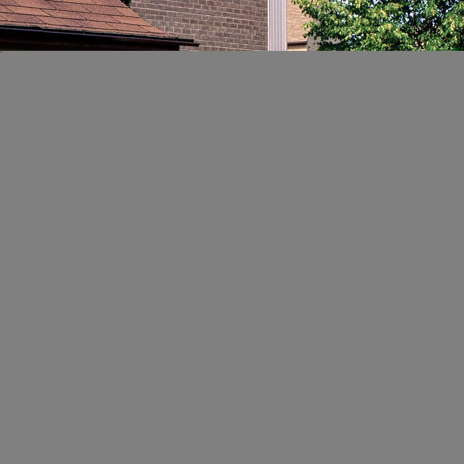 Costway 1.6M Outdoor Wooden Storage Shed, Solid Wood Garden Tool Cabinet W/ 3 Removable Shelves, Weatherproof Asphalt Roof, Adjustable Footpads, Latch, Outdoor Vertical Organizer for Garden Porch Deck image number 6