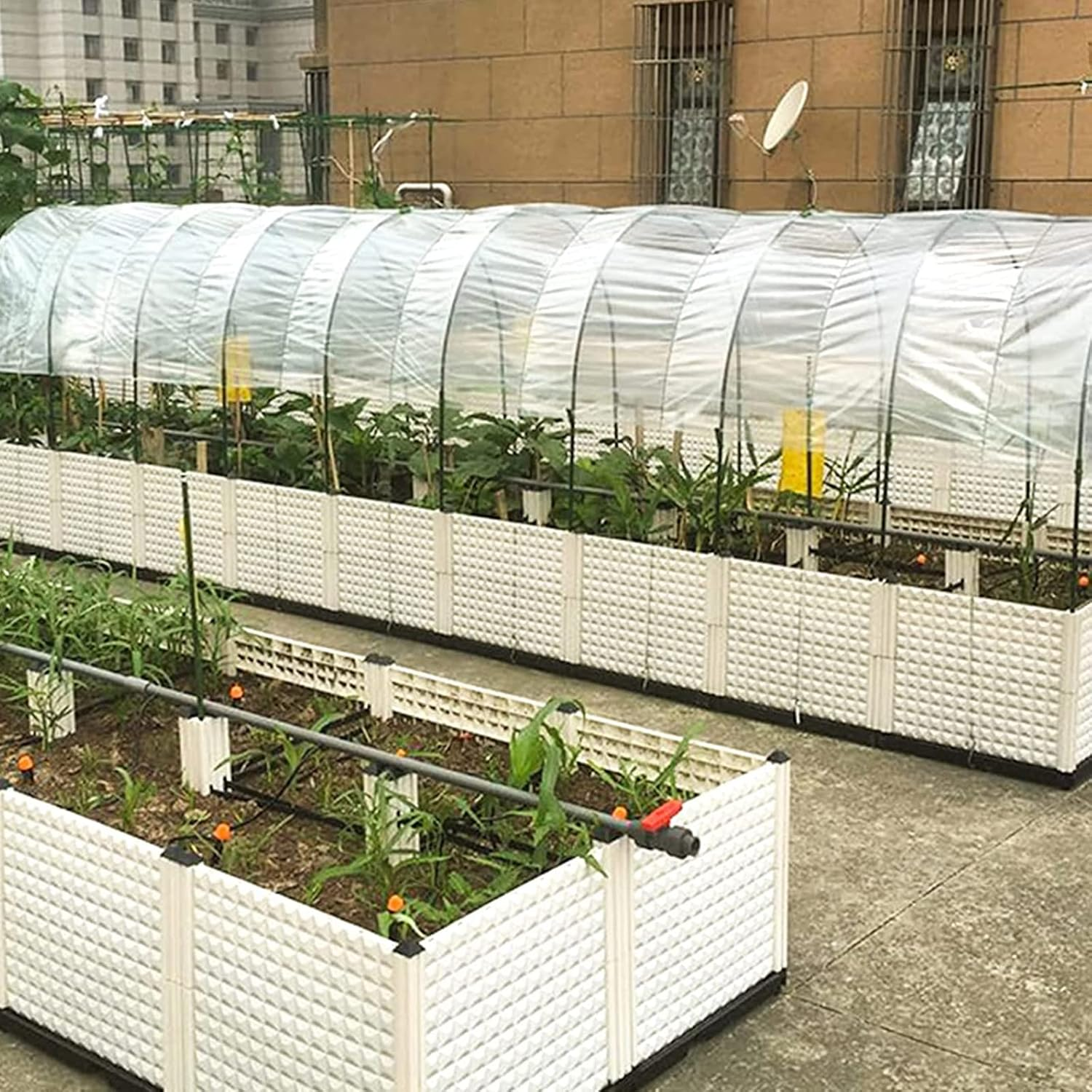 PALUDO 2 X 3M Extra Thick Clear Heavy Duty Polythene Sheeting, Plastic Dust Waterproof Sheets, Garden Grow Polythene Cover Sheets, for Gardening Insulation Building Rubble Protection (250Mu / 1000G) image number 4