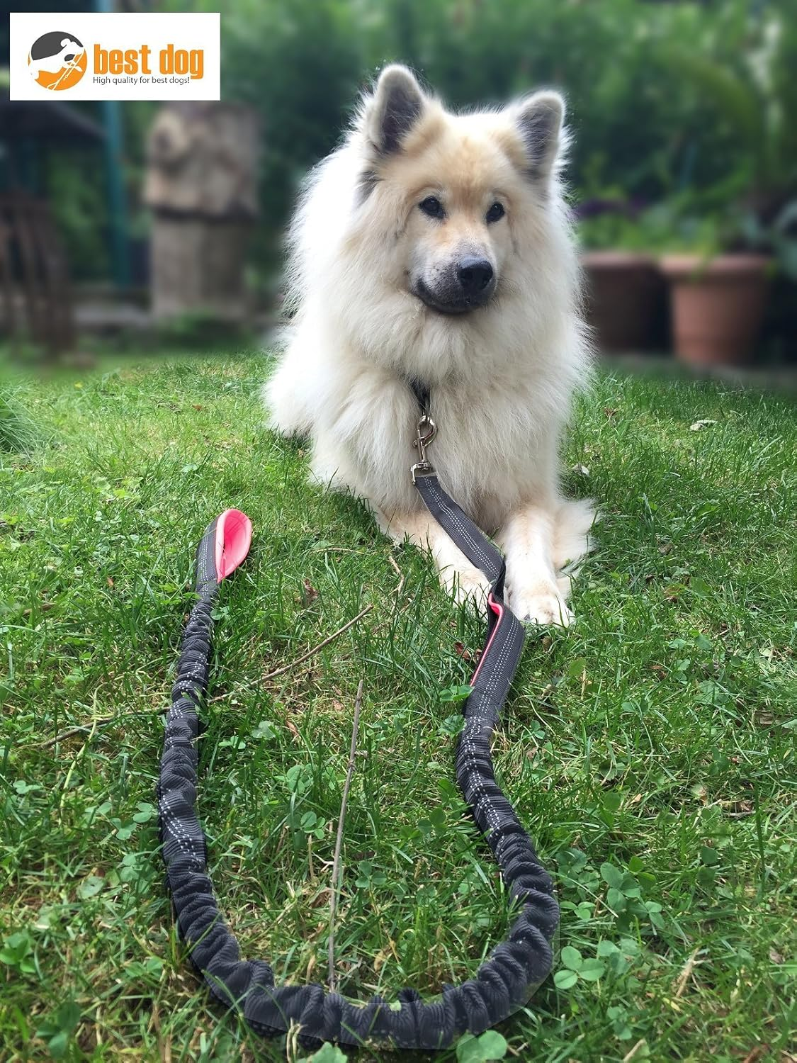 Best Dog Premium Dog Lead for Large Dogs (Pink-Grey) image number 1