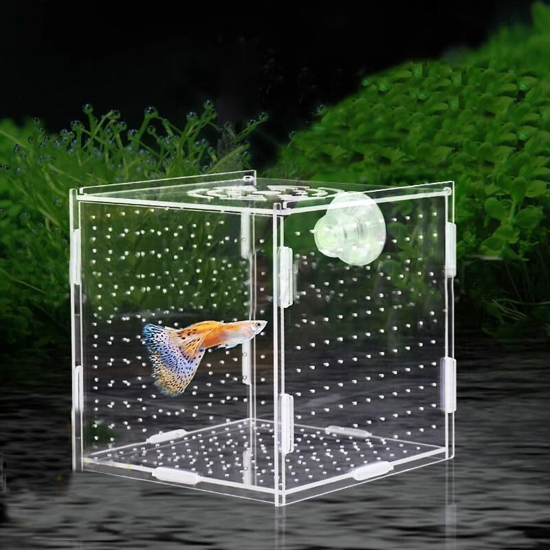 Acrylic Fish Breeding Box, 1Pc Transparent Acrylic Aquarium Isolation Box with Suction Cup,Acrylic Fish Isolation Breeding Box image number 5