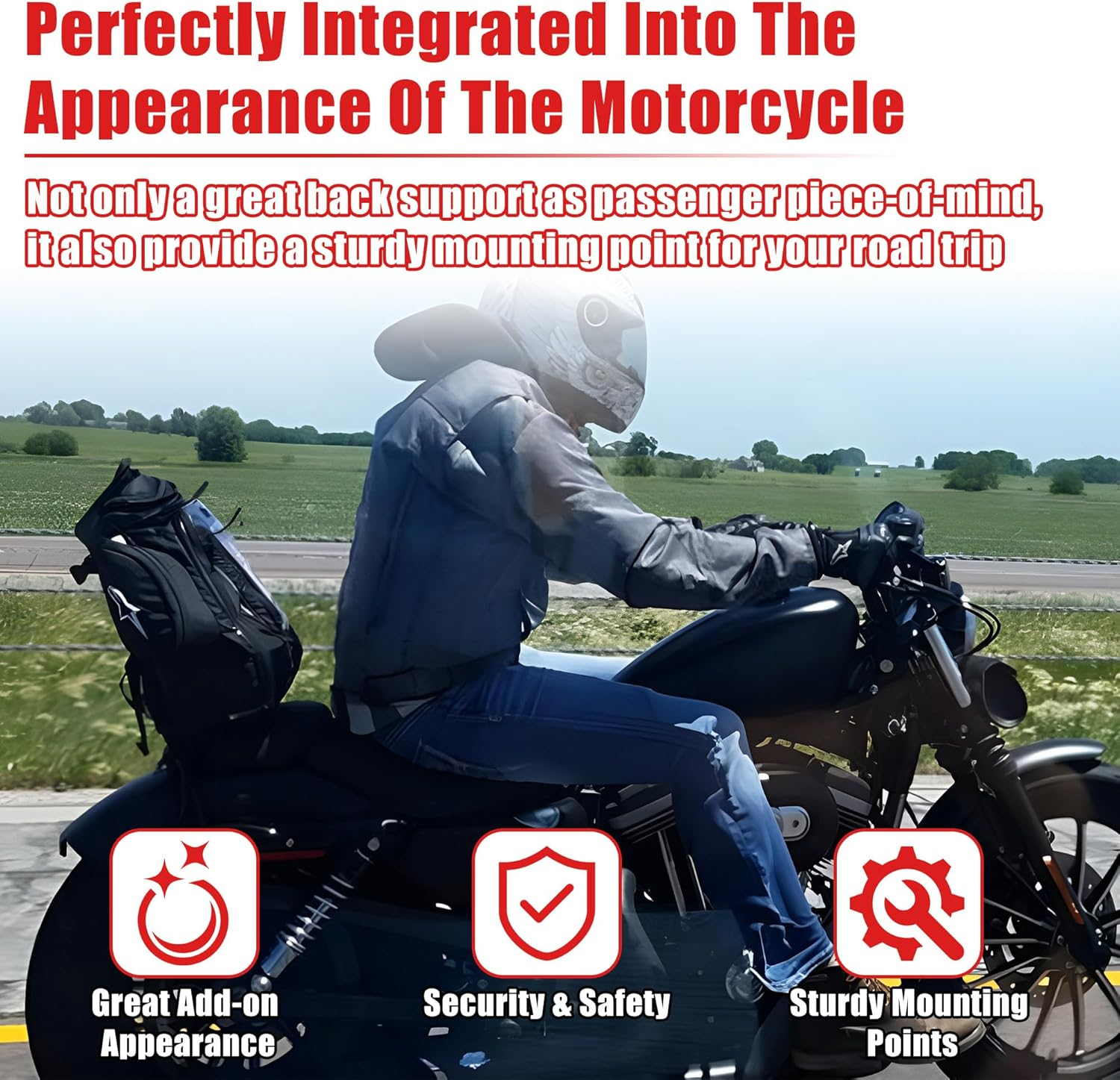 Goldfire Motorcycle Sissy Bar Detachable Rear Passenger Upright Backrest W/Cushion Pad for Harley Sportster XL 883 1200 2004-Up image number 4