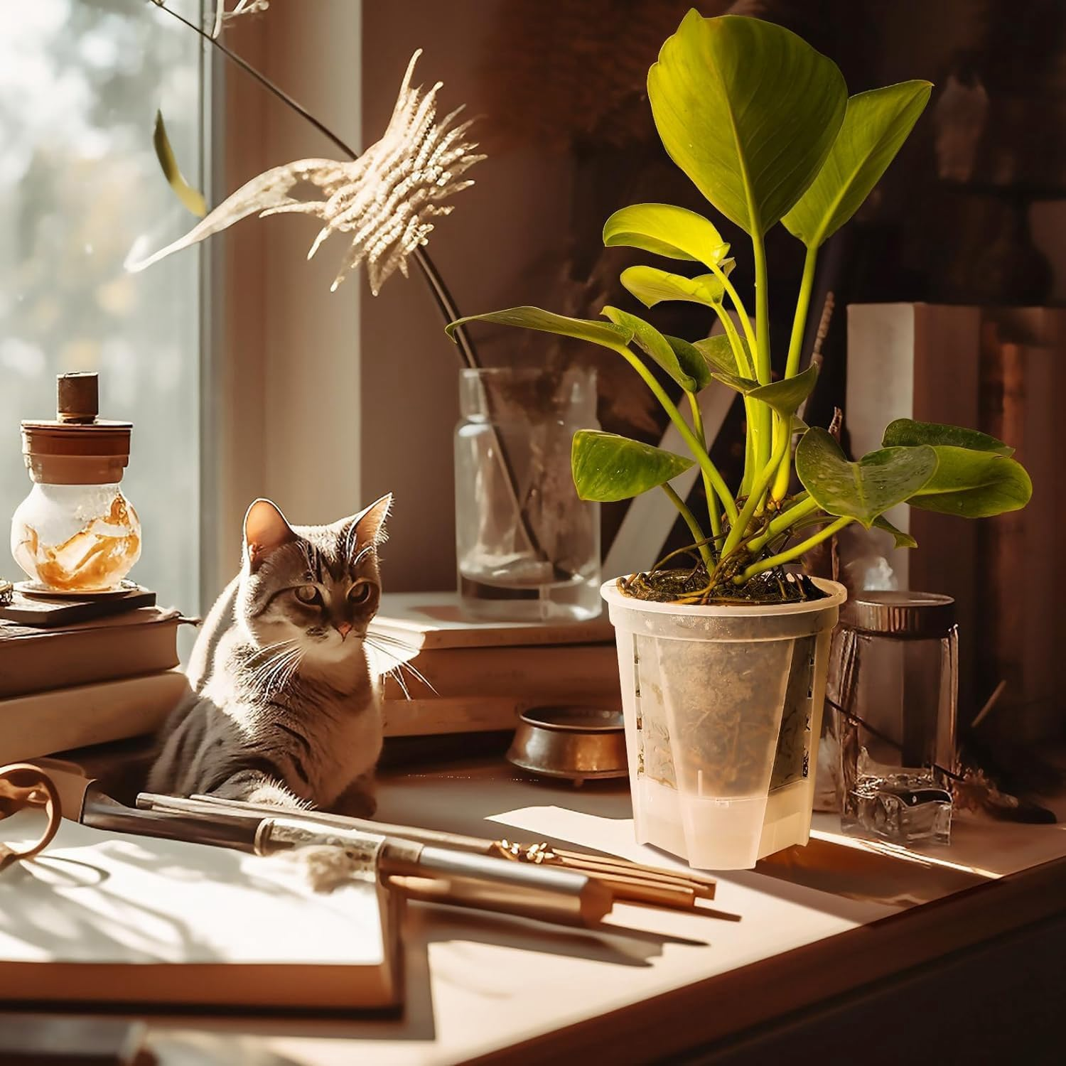 6 Inch Transparent Plastic Nursery Plant Pots Plastic Garden Pots 5 Pack with Deep Reservior image number 2