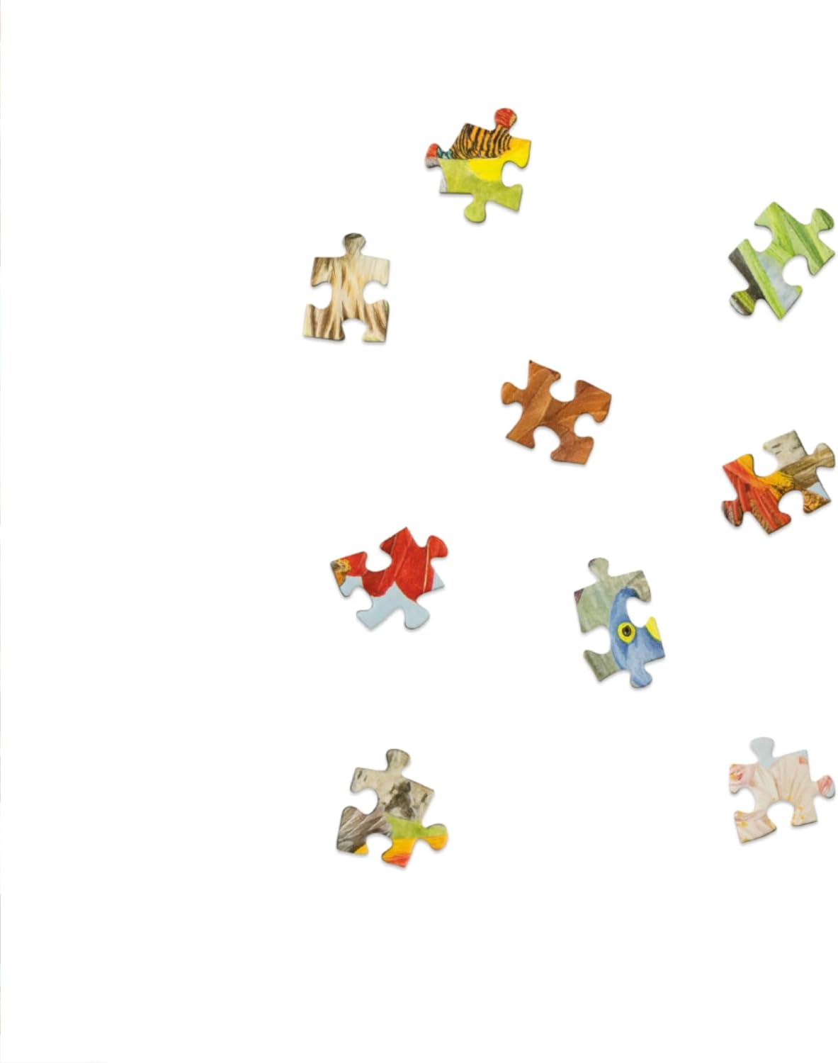 Around the World in 50 Birds: 1000 Piece Jigsaw