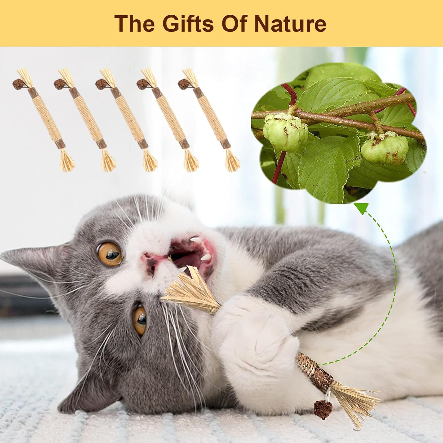 6 Pack Silvervine Cat Chew Toys, Natural Dental Sticks for Indoor Cats, Kittens Teeth Cleaning, Catnip Alternative, Interactive Play, Yellow image number 4