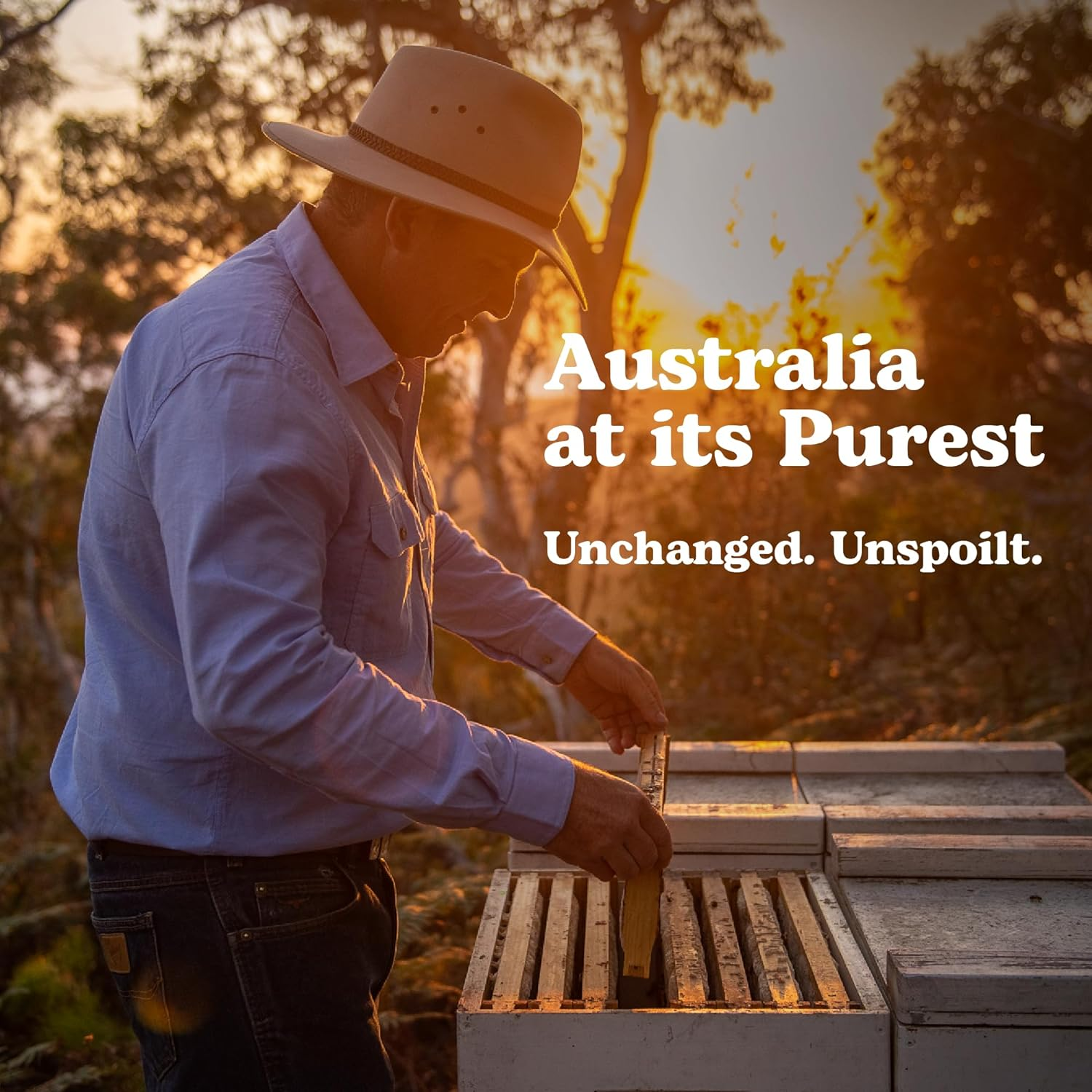 Capilano 100% Pure Australian, Premium, Easy-Pour Squeeze Bottle, 500G image number 2