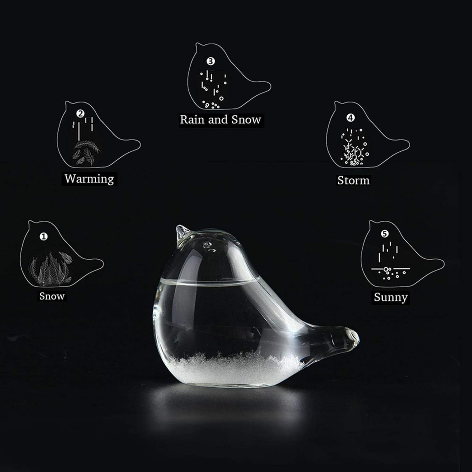 Desktop Weather Forecast Bottle,Storm Glass Weather Station Bird Forecaster - Desktop Weather Forecast Bottle Weather Predicting Globe Storm Glass Cloud