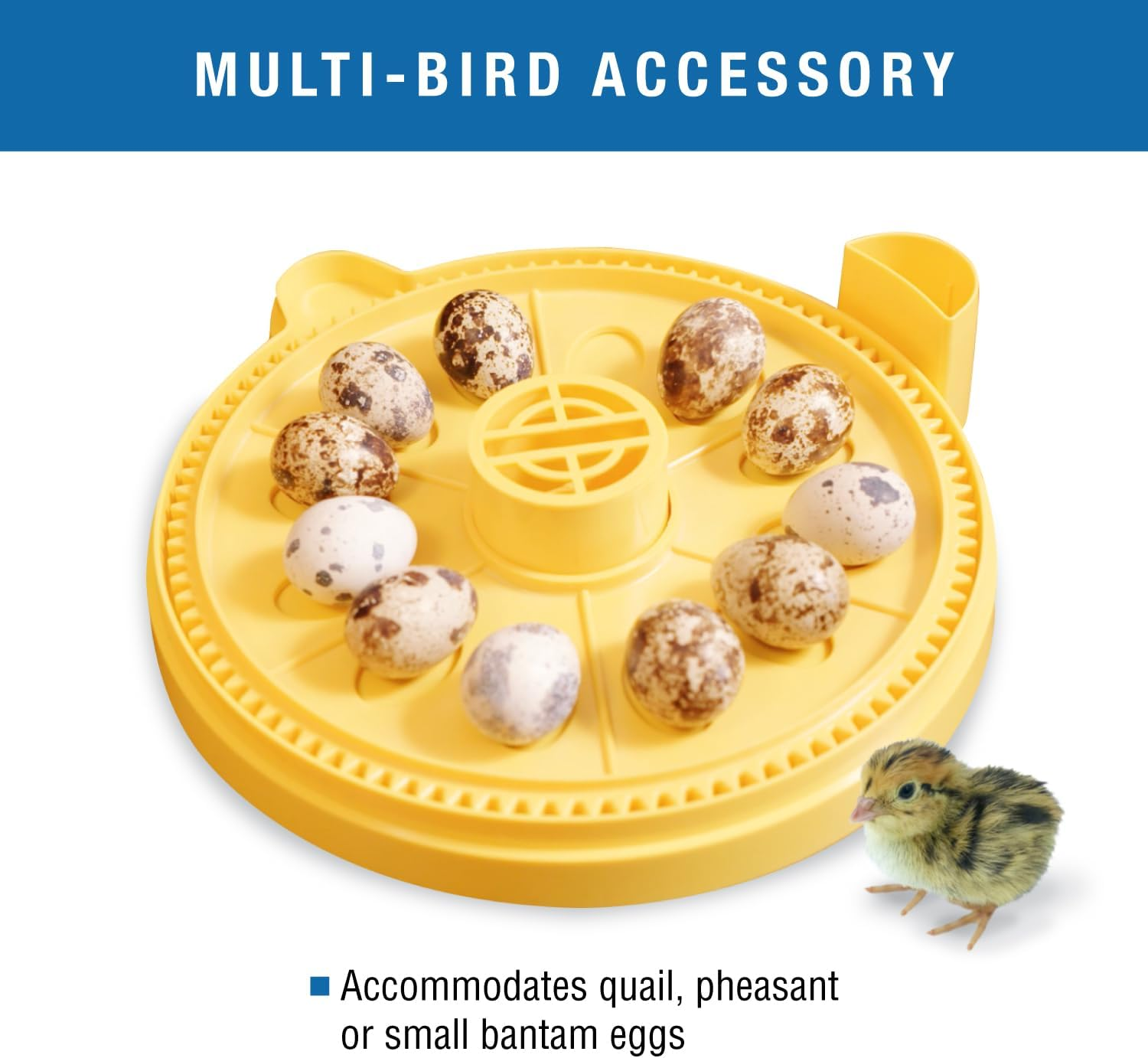 Brinsea Products Optional Egg Insert to Hatch 12 Small Eggs in the Advance Incubator, Mini image number 3