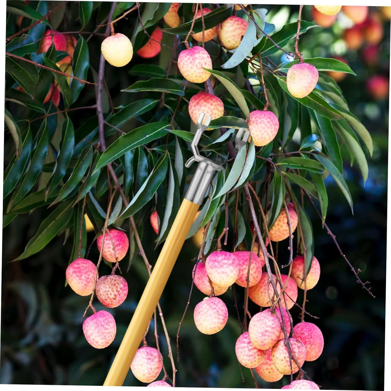 CIMAXIC 6PCS Tree Branch Supports Fruit Tree Staking Kit for Young Trees Windproof and Snowproof Garden Orchards image number 3