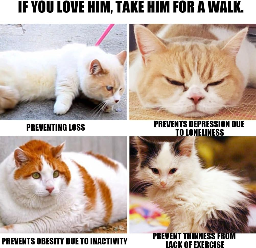 Cat Carrier with Lead, Adjustable Nylon Transporter, Cat Lead for Cats and Rabbits