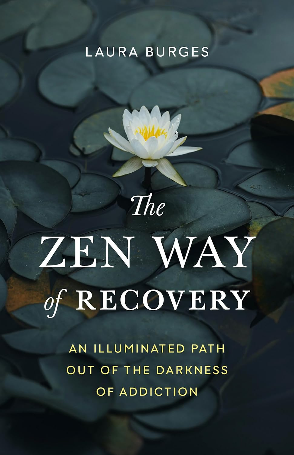 The Zen Way of Recovery: an Illuminated Path Out of the Darkness of Addiction