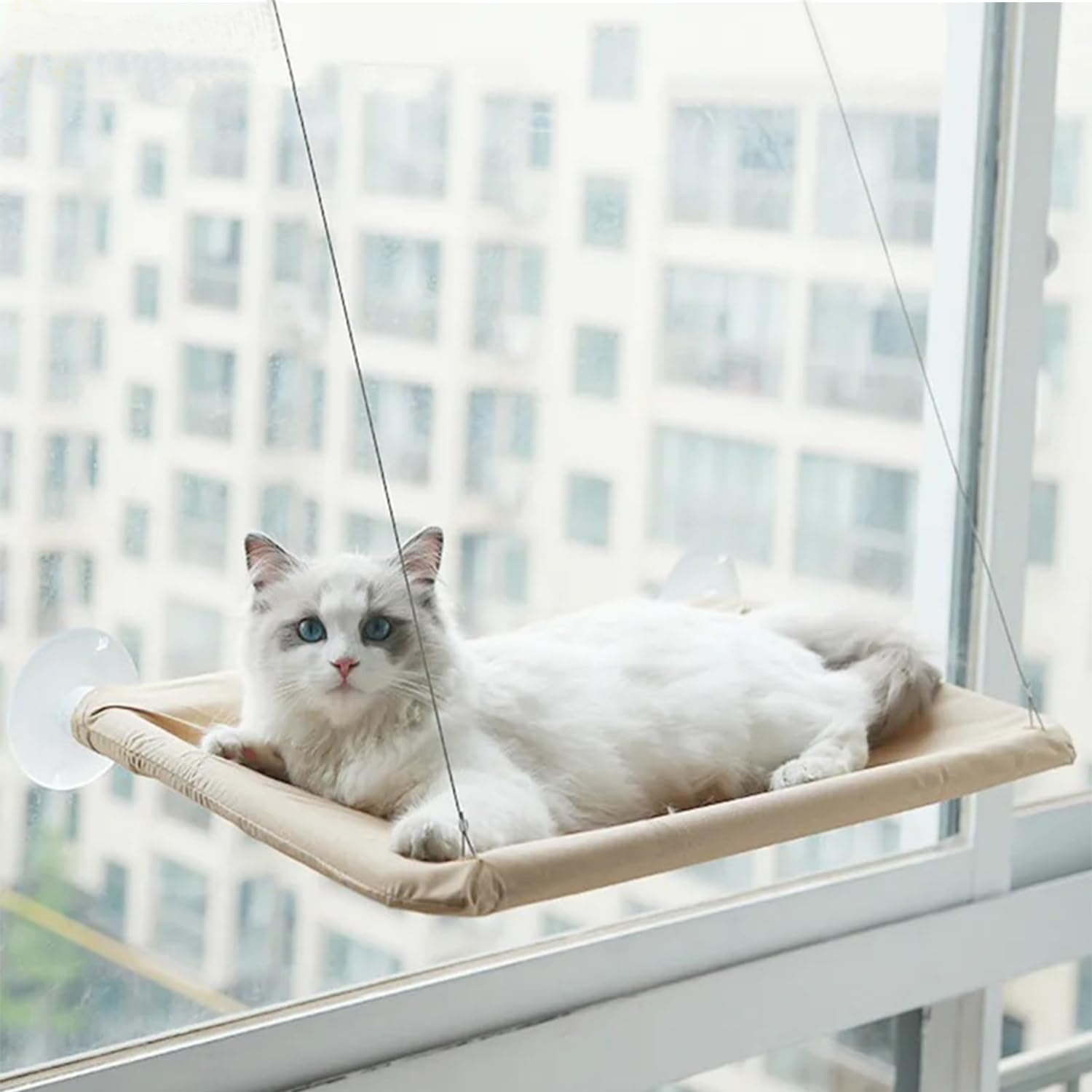 Cat Window Pole, Cat Hammock for Pet Sunbathing Window Hammock Suction Cup Hammock Can Hold 50 Lbs (Khaki, M)