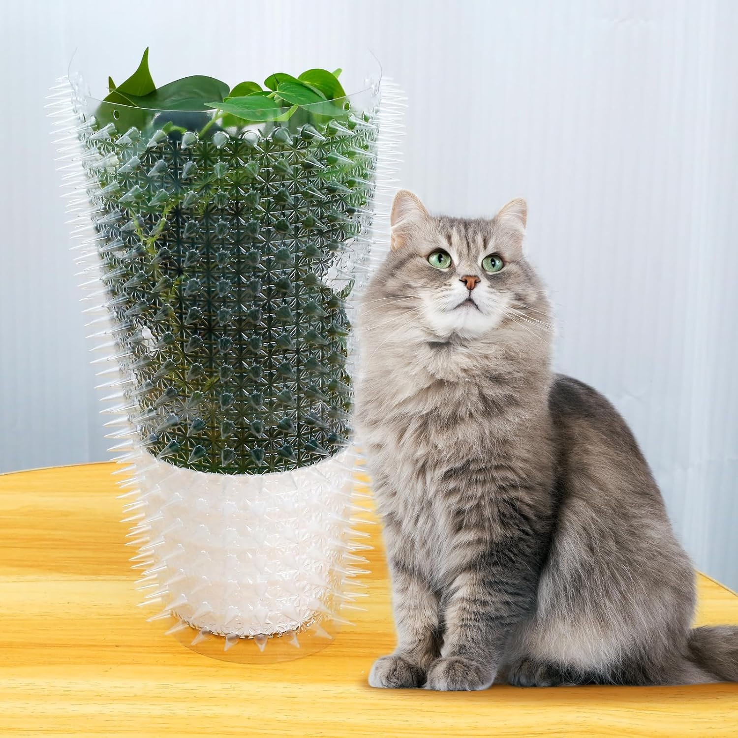 5 Pack Scat Mat for Cats Clear Pet Spike Mats with Spikes to Deter Dogs and Other Animals Away Cat Repellent Indoor Outdoor Scat Mat for Sofa Door Balcony Patio 16 X 13 Inches Pouywh(Transparent) image number 2