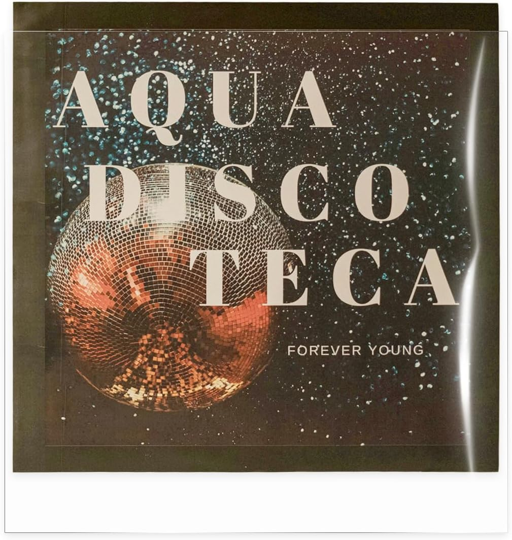 Sdroceryam 7 Inches Vinyl Record Outer Sleeves, 50Pcs Clear EP Album Covers Anti- Static Outer Sleeves for 45 RPM Record Collection Protection