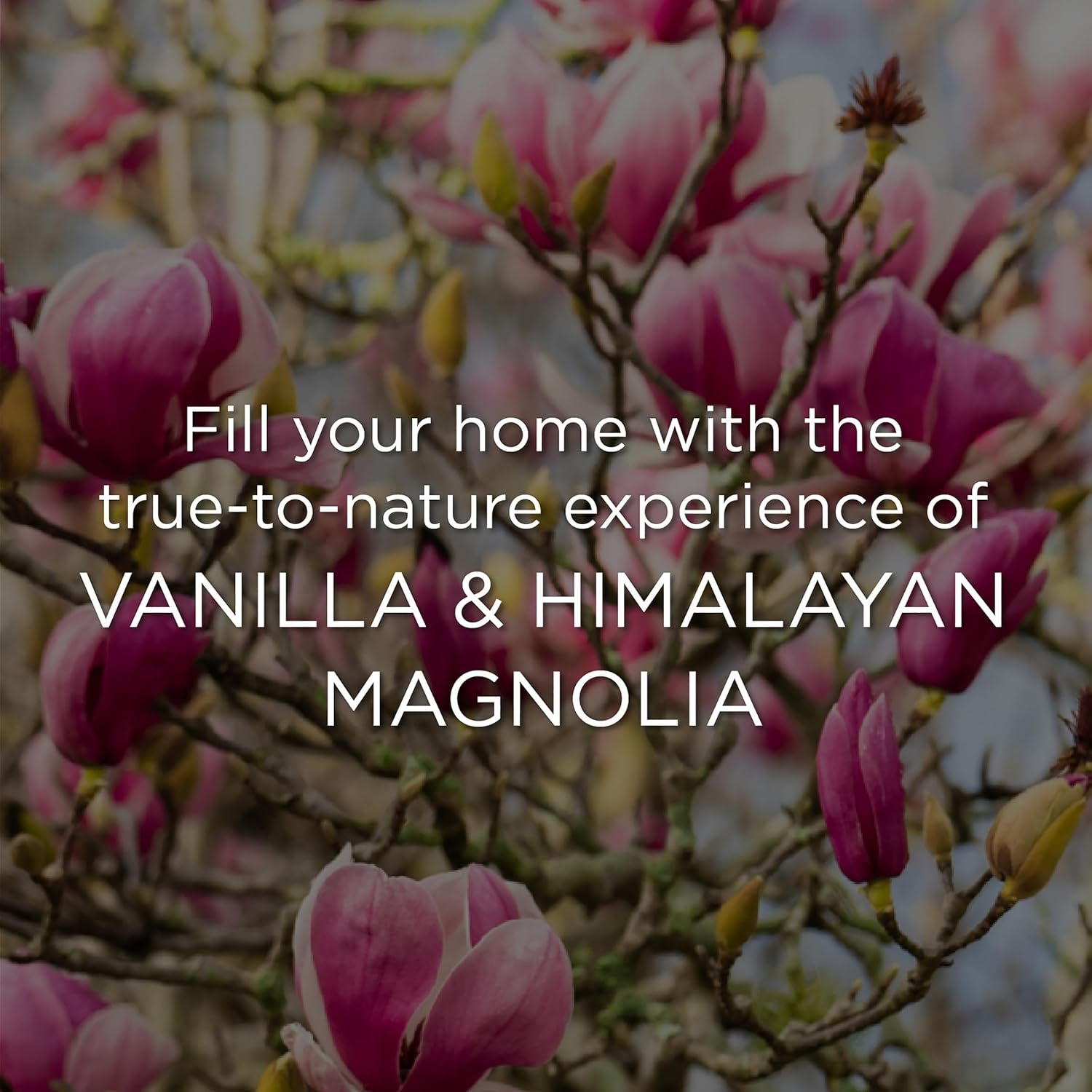 Botanica by Air Wick Vanilla & Himalayan Magnolia Plug-In Twin Refill 2 X 22Ml (Packaging May Vary)