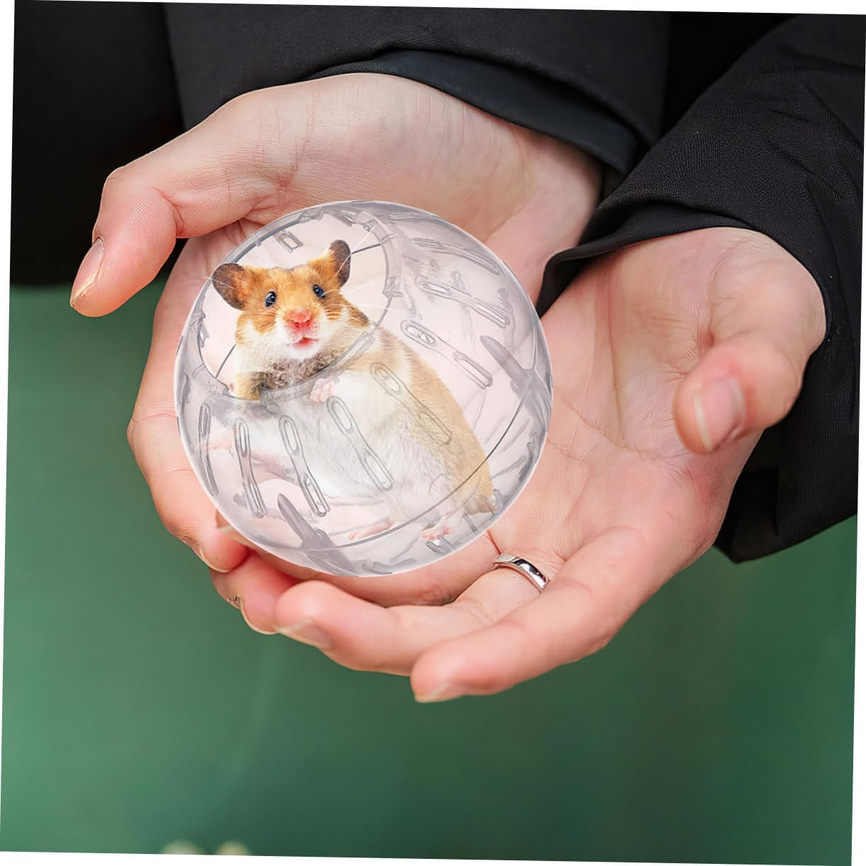 FONDOTIN Reducing Boredom for Your Pet: 2 Pack Lizard Toy Sports for Small Animals Silent Hamster Wheel image number 5