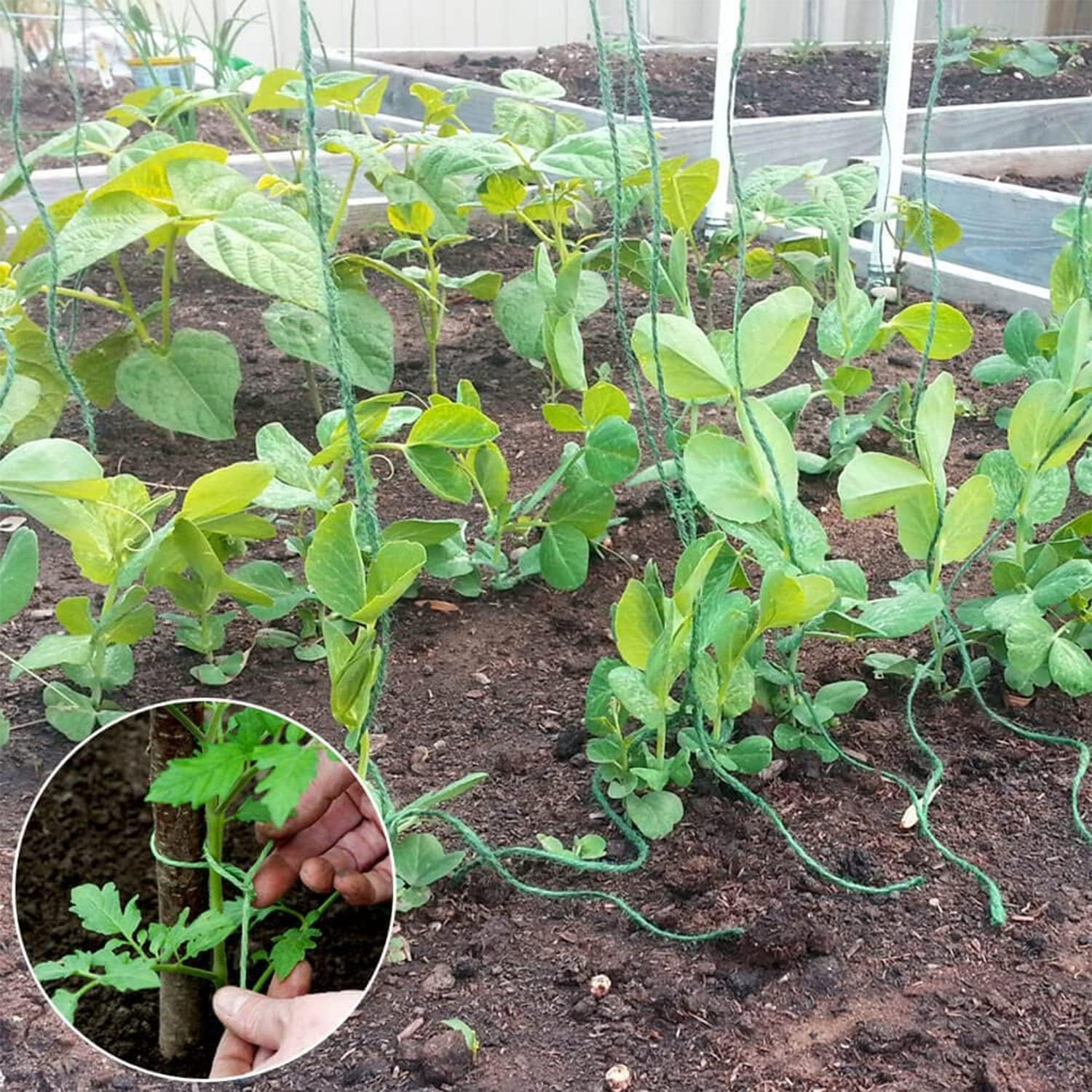 200M Strong Reusable Garden Twine Horticultural Utility Polypropylene String Rope for Supporting Plants, Wrapping and Gardening, Tying down Covers Etc Weatherproof Multiple Use Line Tie image number 2