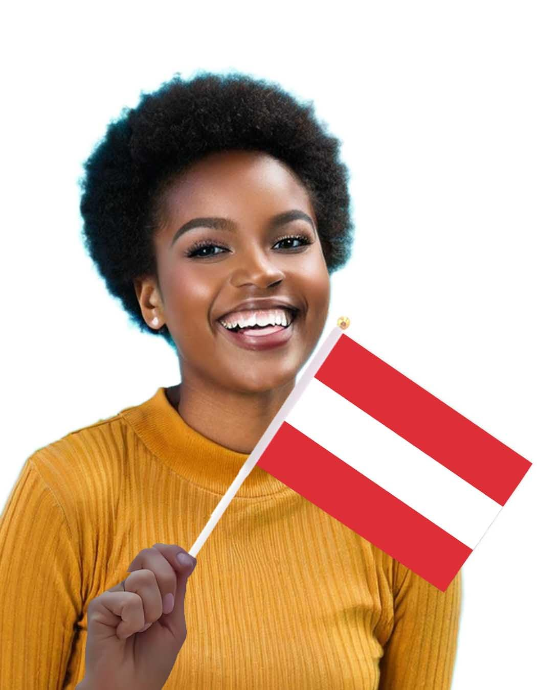 25 Packs Small Austria Flags on Handheld Stick，Miniature Austrian Flag for Outside,4X6 Inch Mini Hand Held Banner with Golden Topper,Patriotic Decorations image number 2