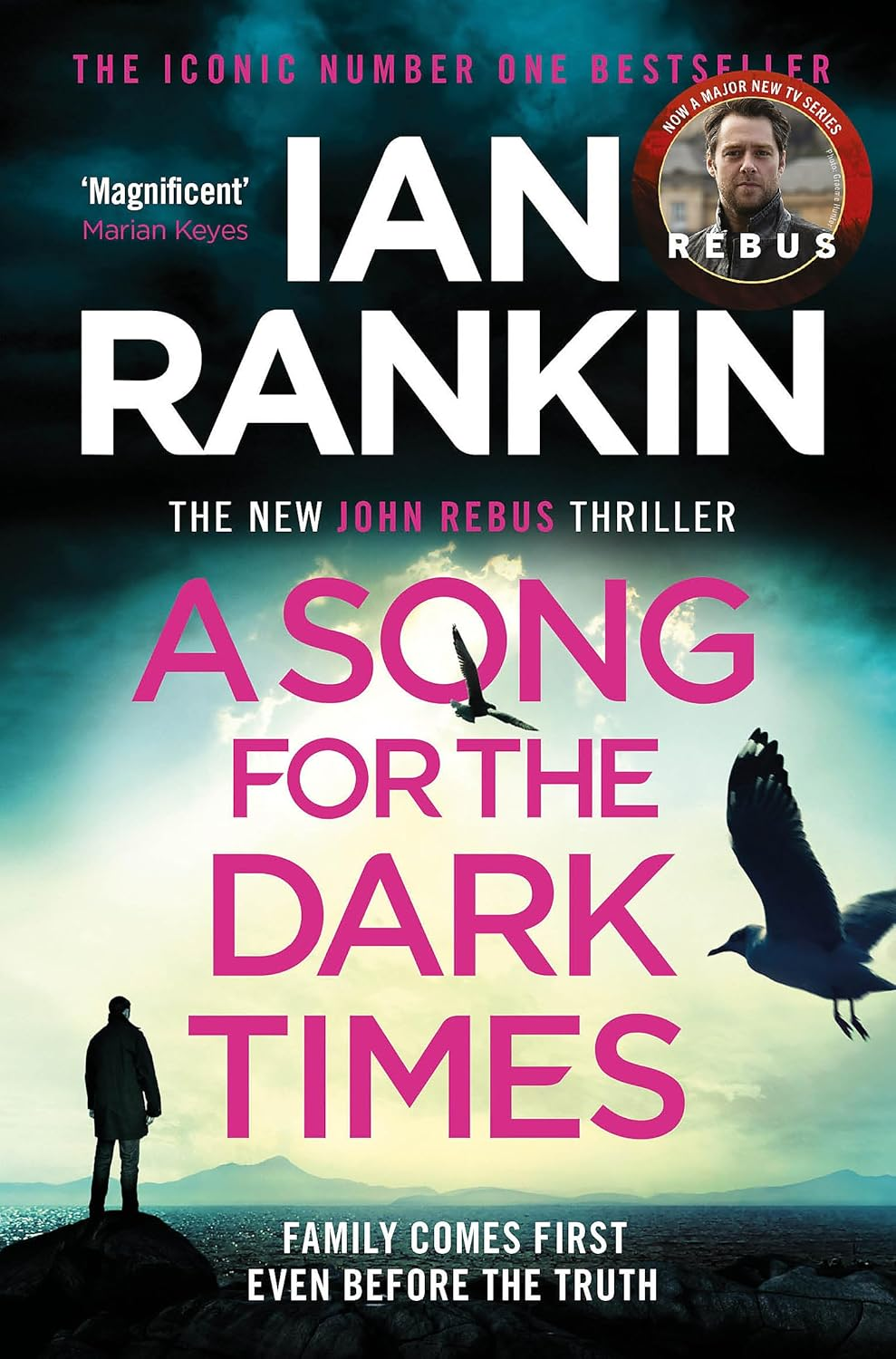 A Song for the Dark Times: the Number One Bestselling Series That Inspired BBC One S REBUS image number 1