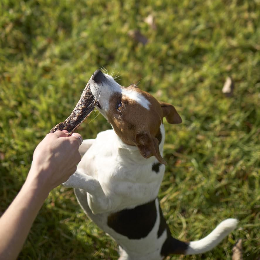 Kazoo Prime Cuts Beef Liver Chips - 100G image number 1