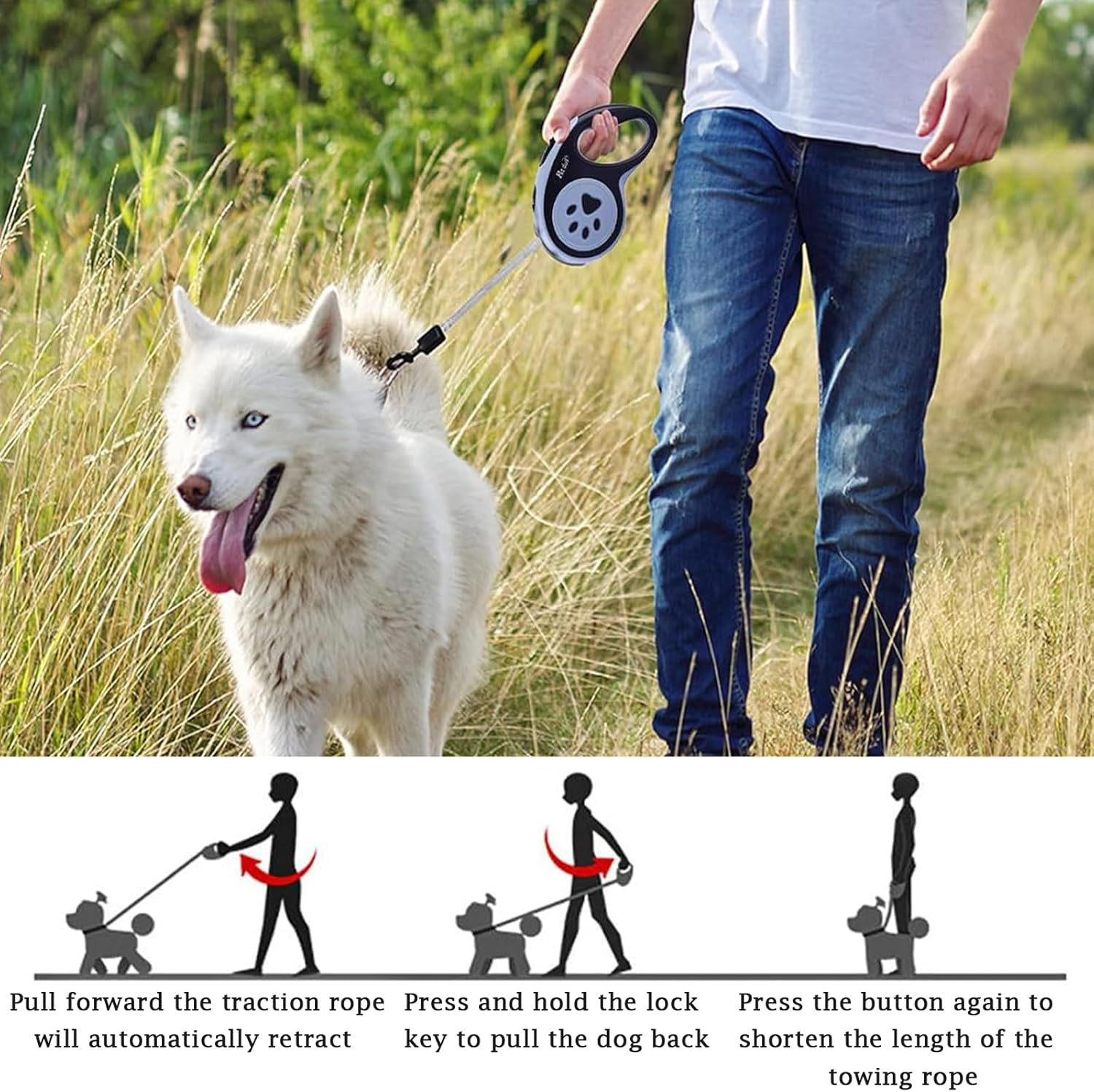 Retractable Dog Lead, 5M/16FT Extendable Dog Training Lead with Strong Nylon Tape, Tangle-Free One-Handed Brake&Pause, Lock for Small Medium Dogs (Blue) - Green image number 2