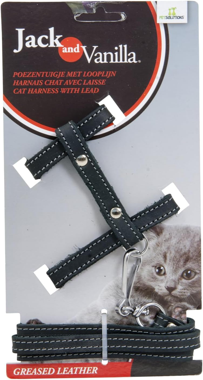 Jack and Vanilla, Greased Leather Cat Harness with Lead Included, Comfortable Fit and Stylish Design, Ideal for Walking, Size 10Mm, Black, Leather Pattern