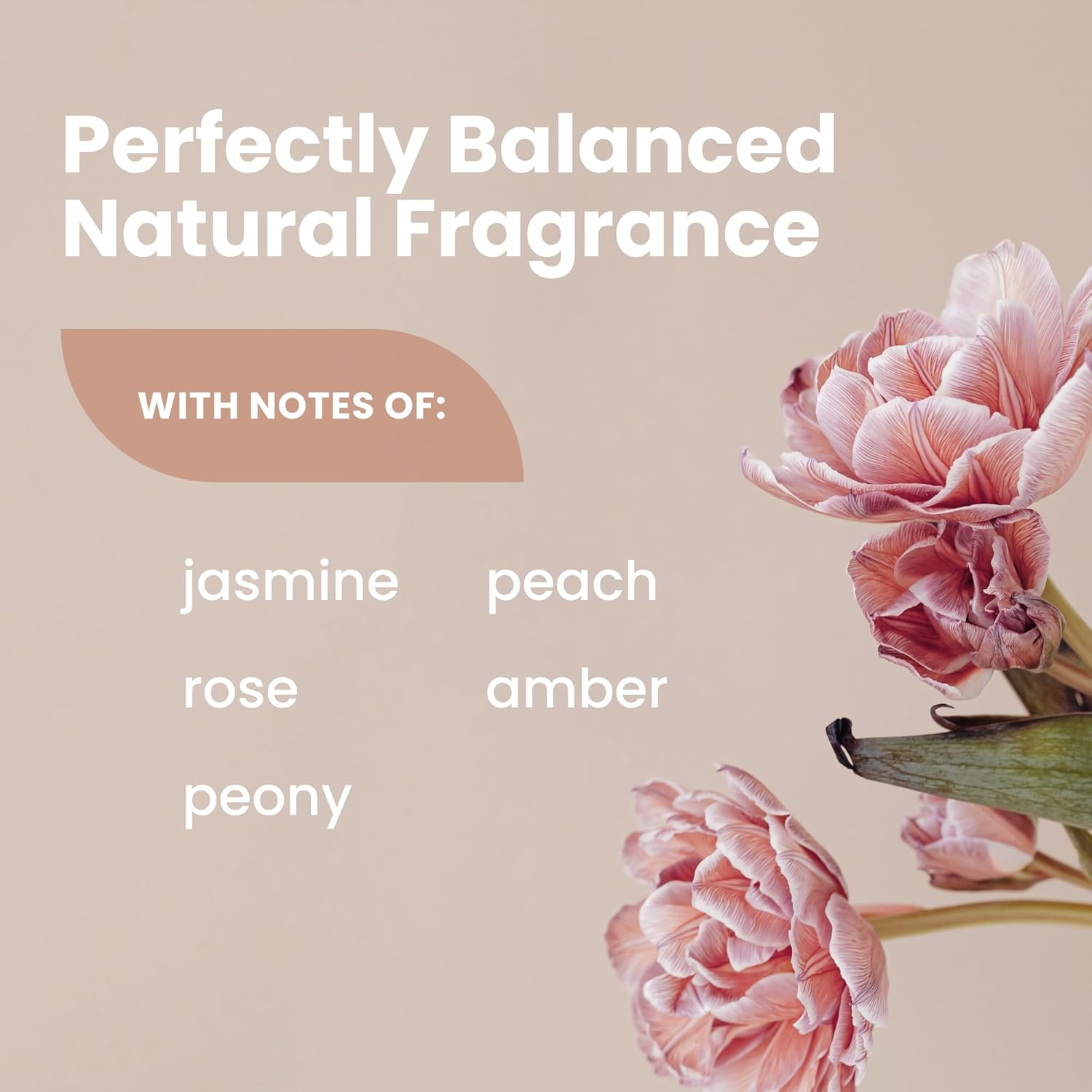 Lady Parts Natural Whole Body Deodorant Lotion for Boobs Thighs Underarm Crotch | Aluminum Free All Day Women Odor Control | Baking Soda Free Hypoallergenic & Safe for Sensitive Skin | Jasmine Rose image number 3