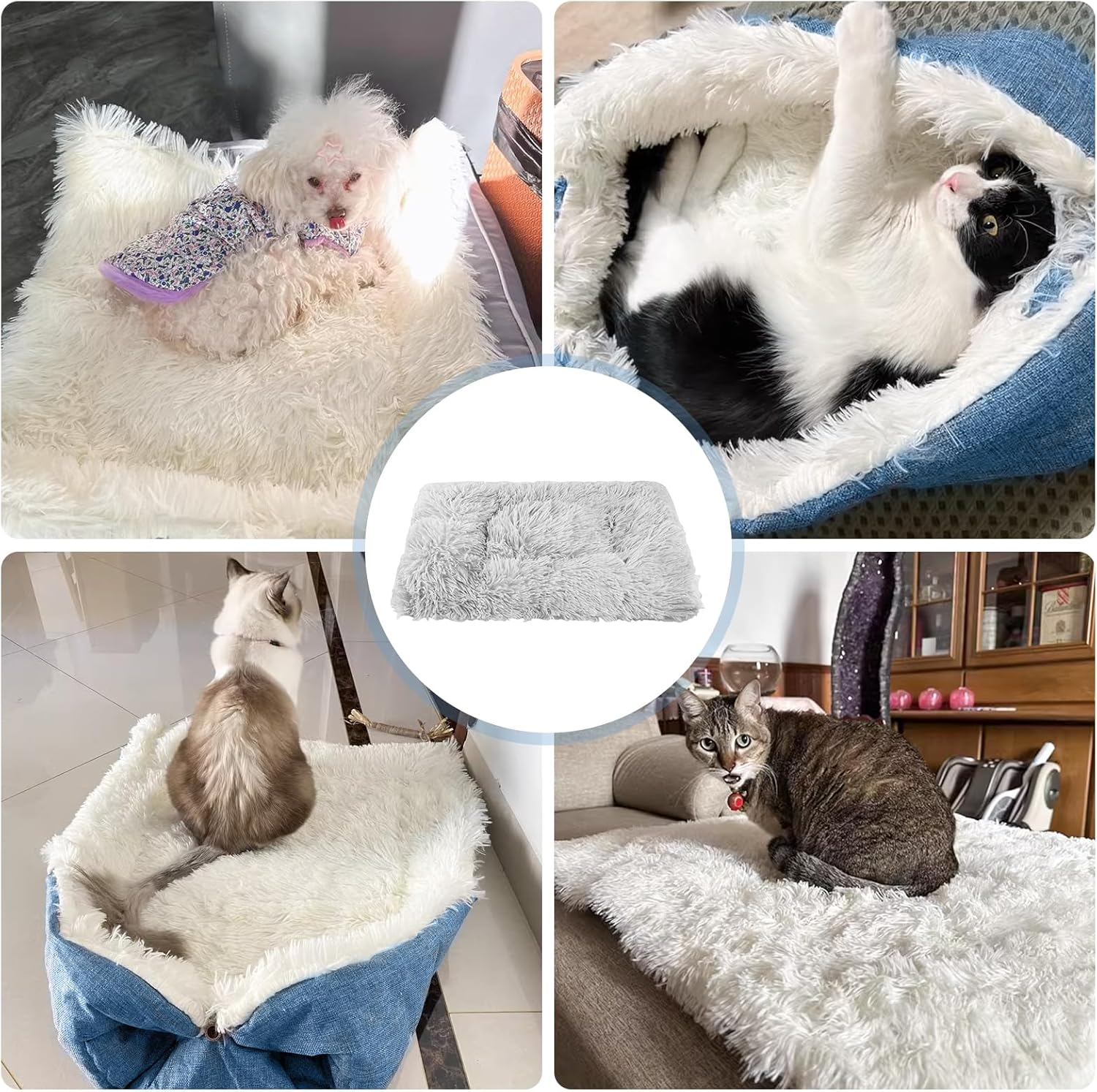 50 X 60 Cm Fluffy Cat Bed, 2-In-1 Cat Blanket for Cats, Washable Cat Cushion, Dog Bed, Cat Sofa, Cat Bed for Cats and Small Dogs (Green) image number 1