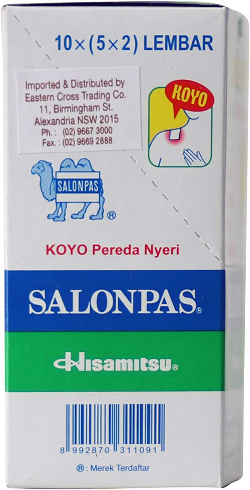 Salonpas Pain Relief Patch 100 Patch Value Box