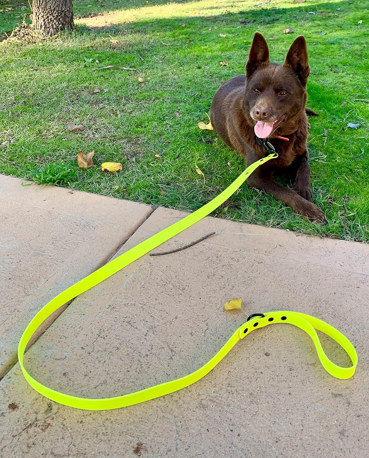 Drovers Dog and Co Super Tuff Dog Lead - Stink Proof - Easy Clean - Extra Strong (Yellow) image number 5