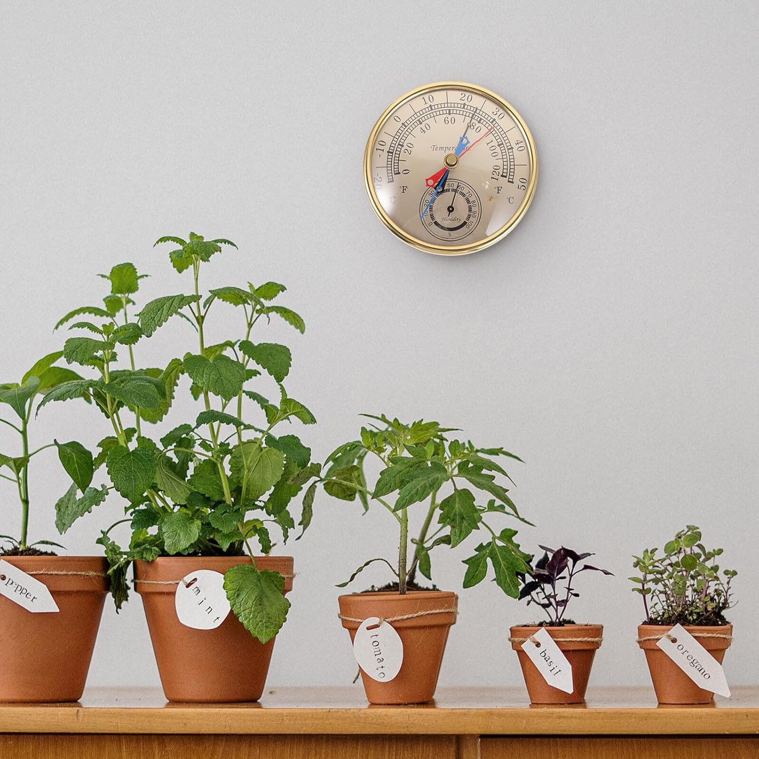 Maximum Minimum Thermometer Hygrometer for Indoor Outdoor Use Wall-Mount Digital Gauge for Garden Greenhouses and Home Display with Glass and Plastic Design image number 2