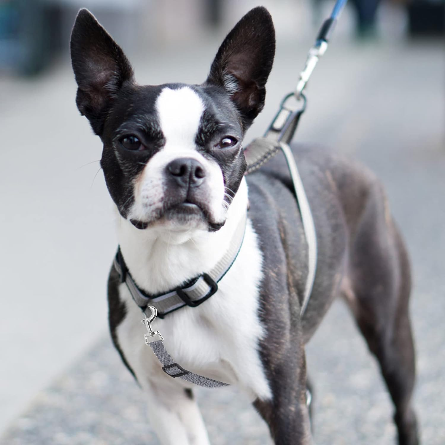 Molain Dog Collar Clips, 2 Pcs Adjustable Nylon Puppy Collar Reflective Backup Collar Double Ended Backup Clasp Clip Safety Dog Collar Harness Connector for Dog Puppies image number 4